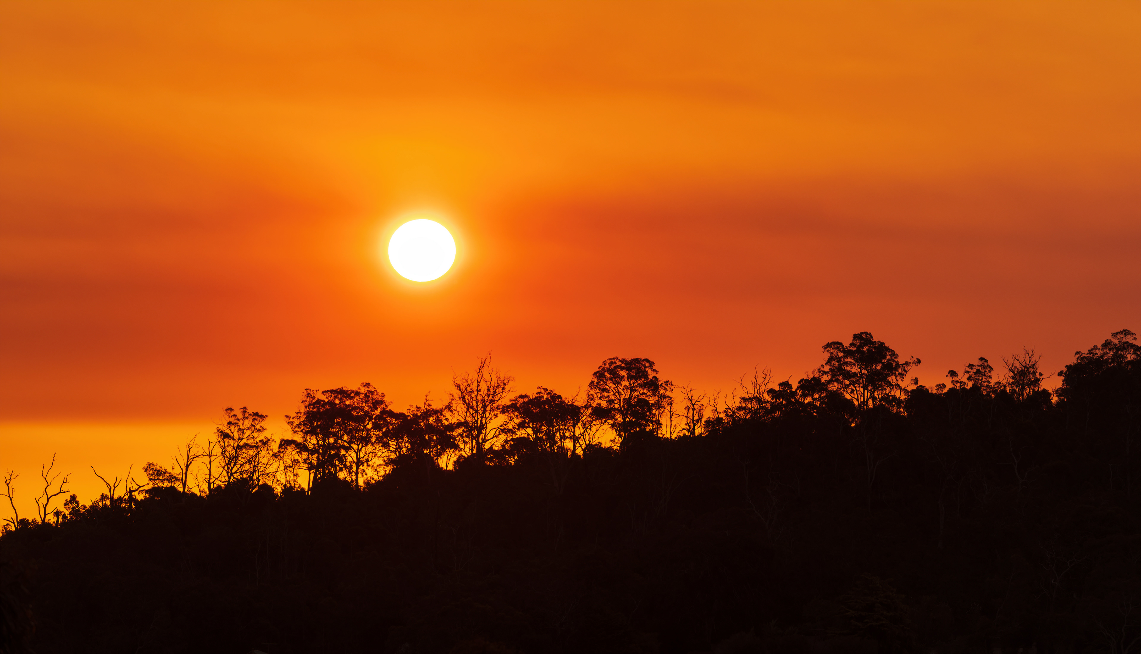 Darlington bushfire sky, Perth Hills