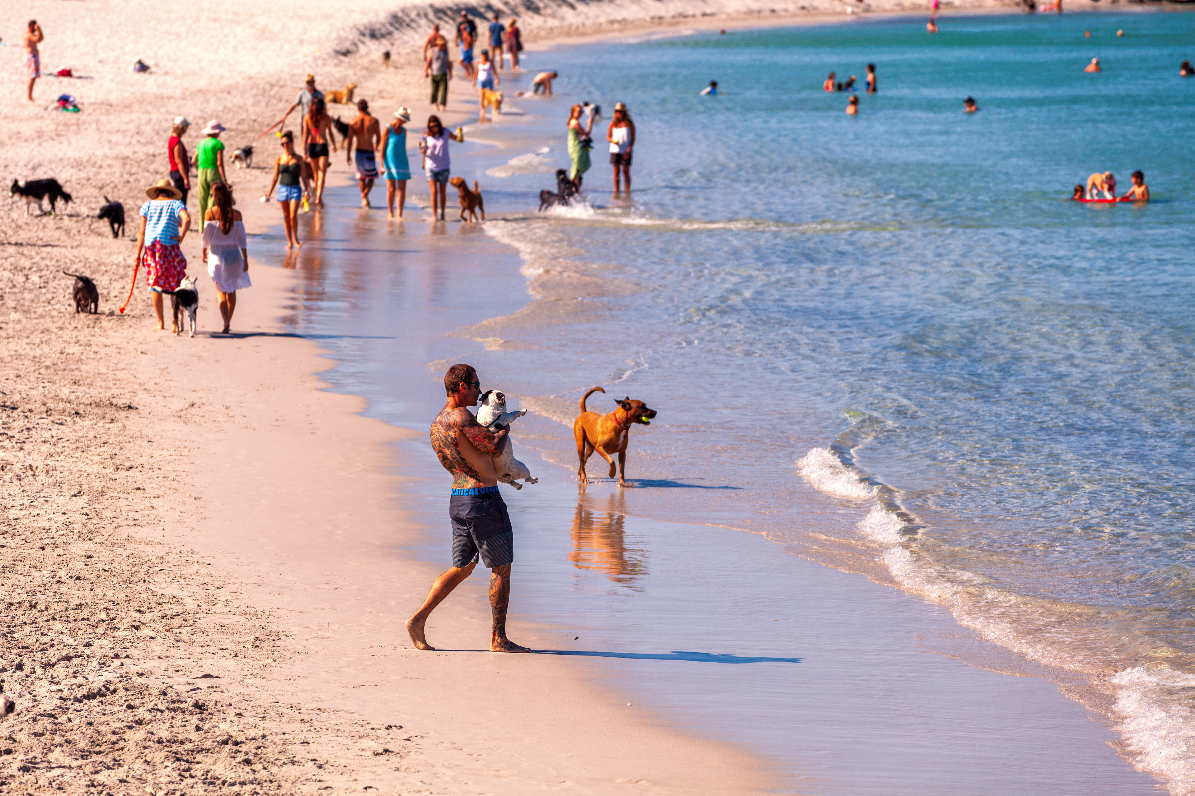 Dog Beach, South Beach, Fremantle