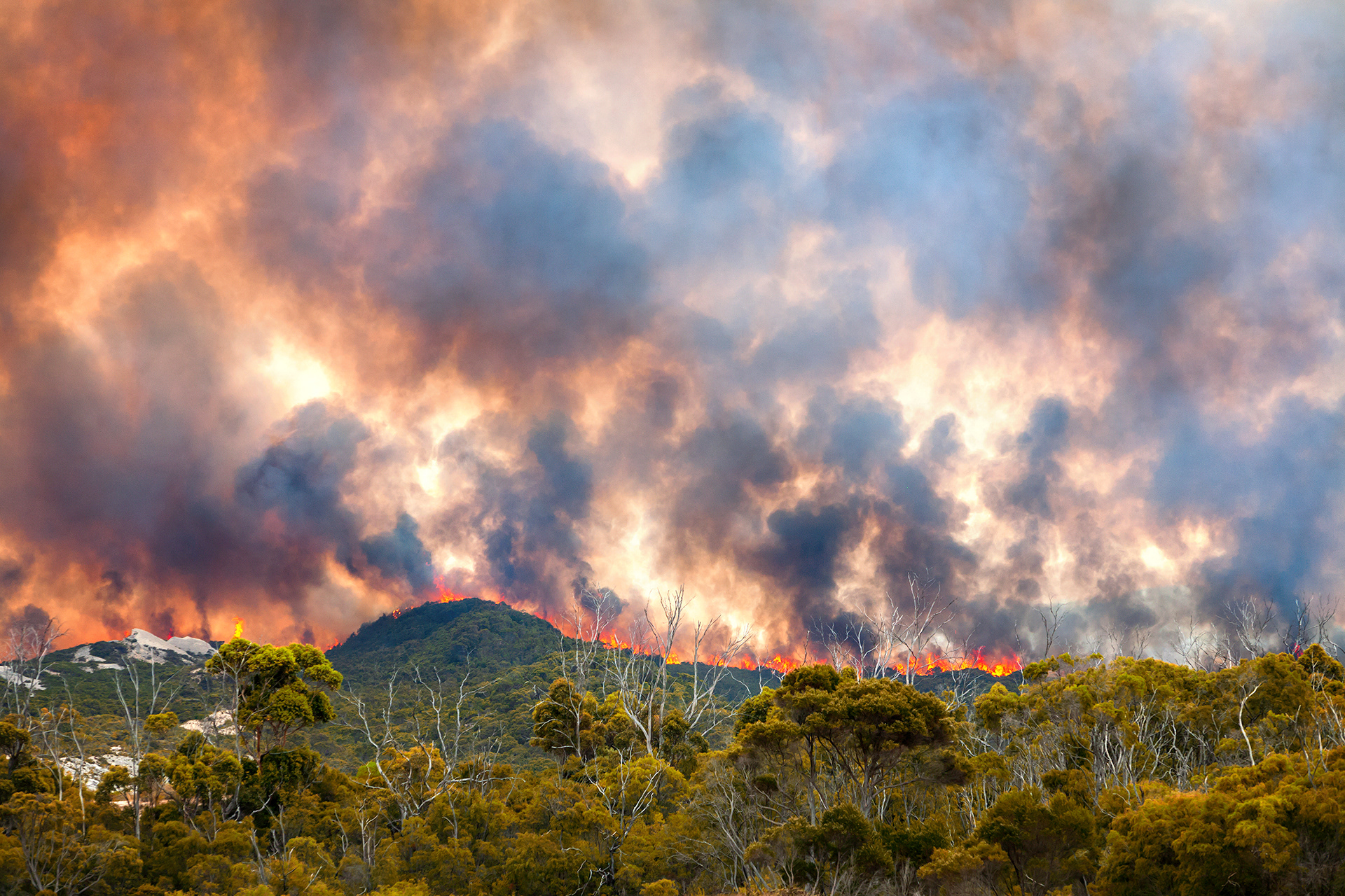 Bushfire, Torndirrup National Park, Albany