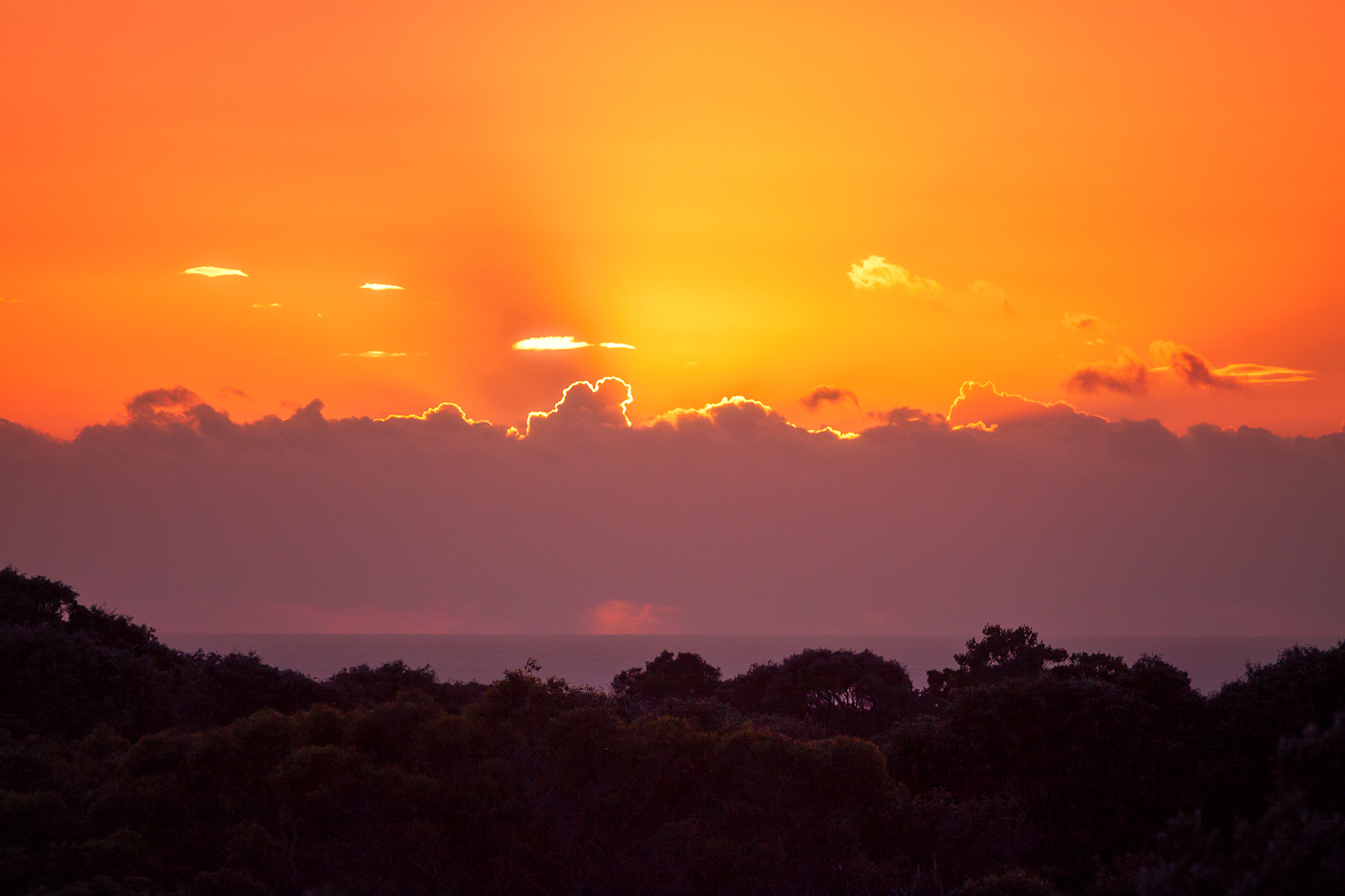 Trees and Clouds Unite, Bremer Bay