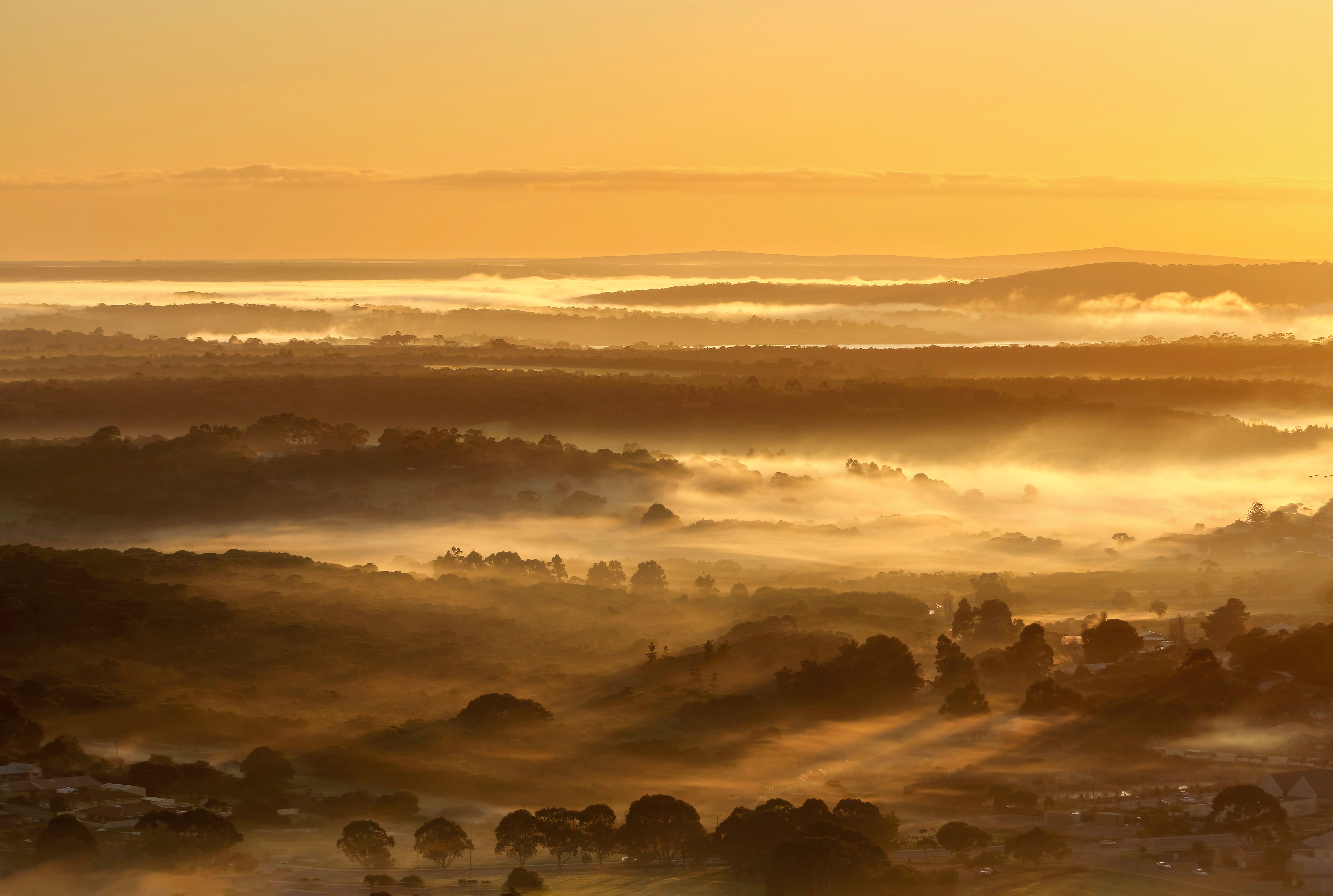 Albany from Mt Melville