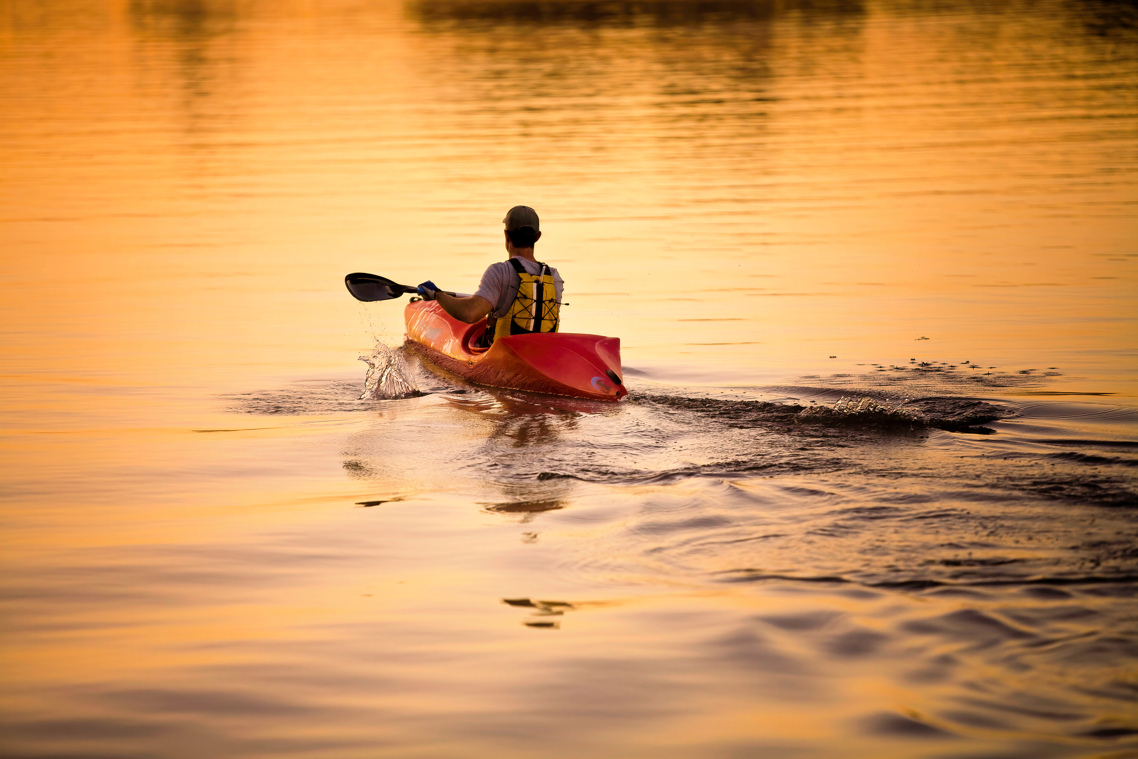 Paddler in a River of Gold, Maylands, Swan River, Perth