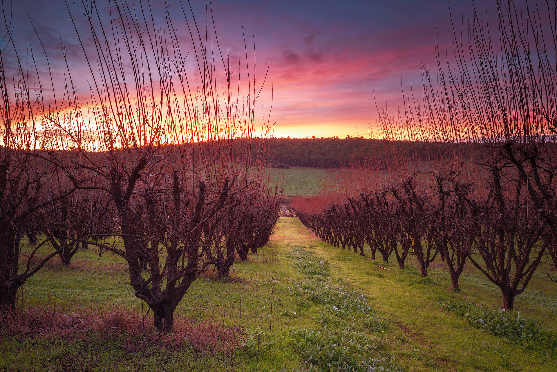 Bickley, Perth Hills