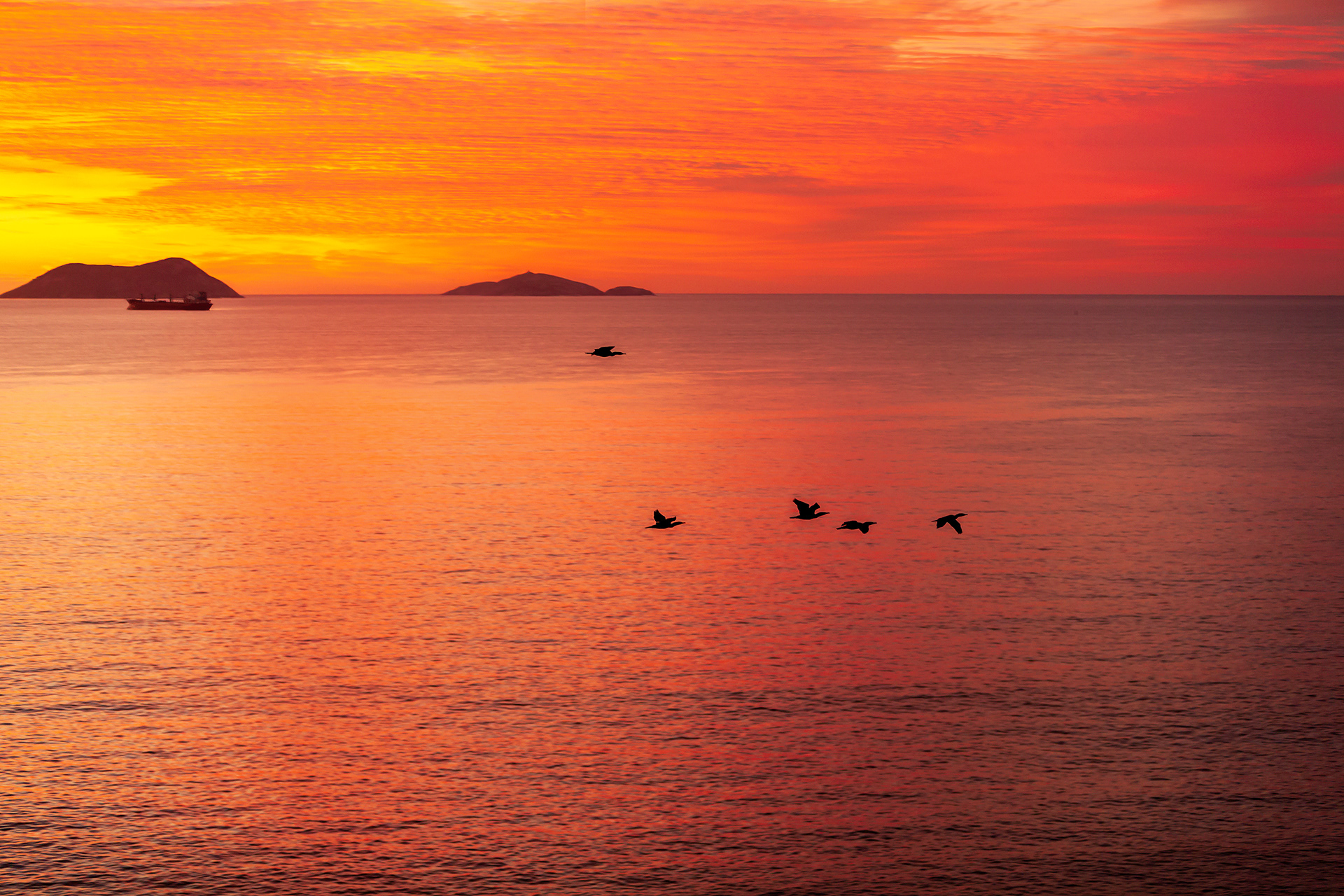 King George Sound, Albany