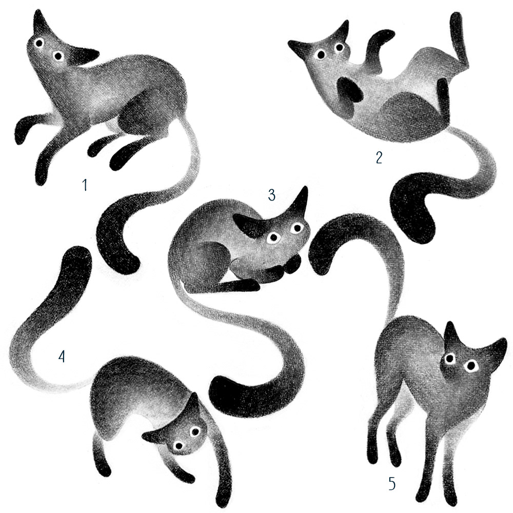 Gatos 2023