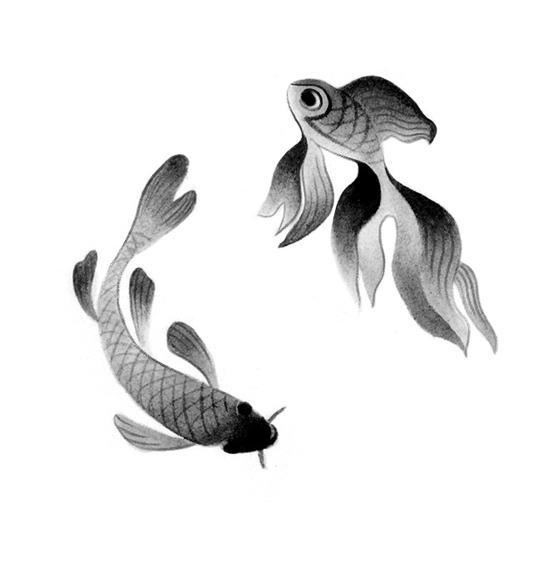 Koi 2023