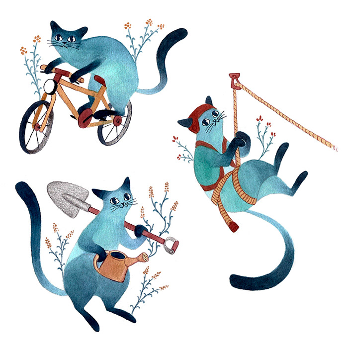 Gatos 2023