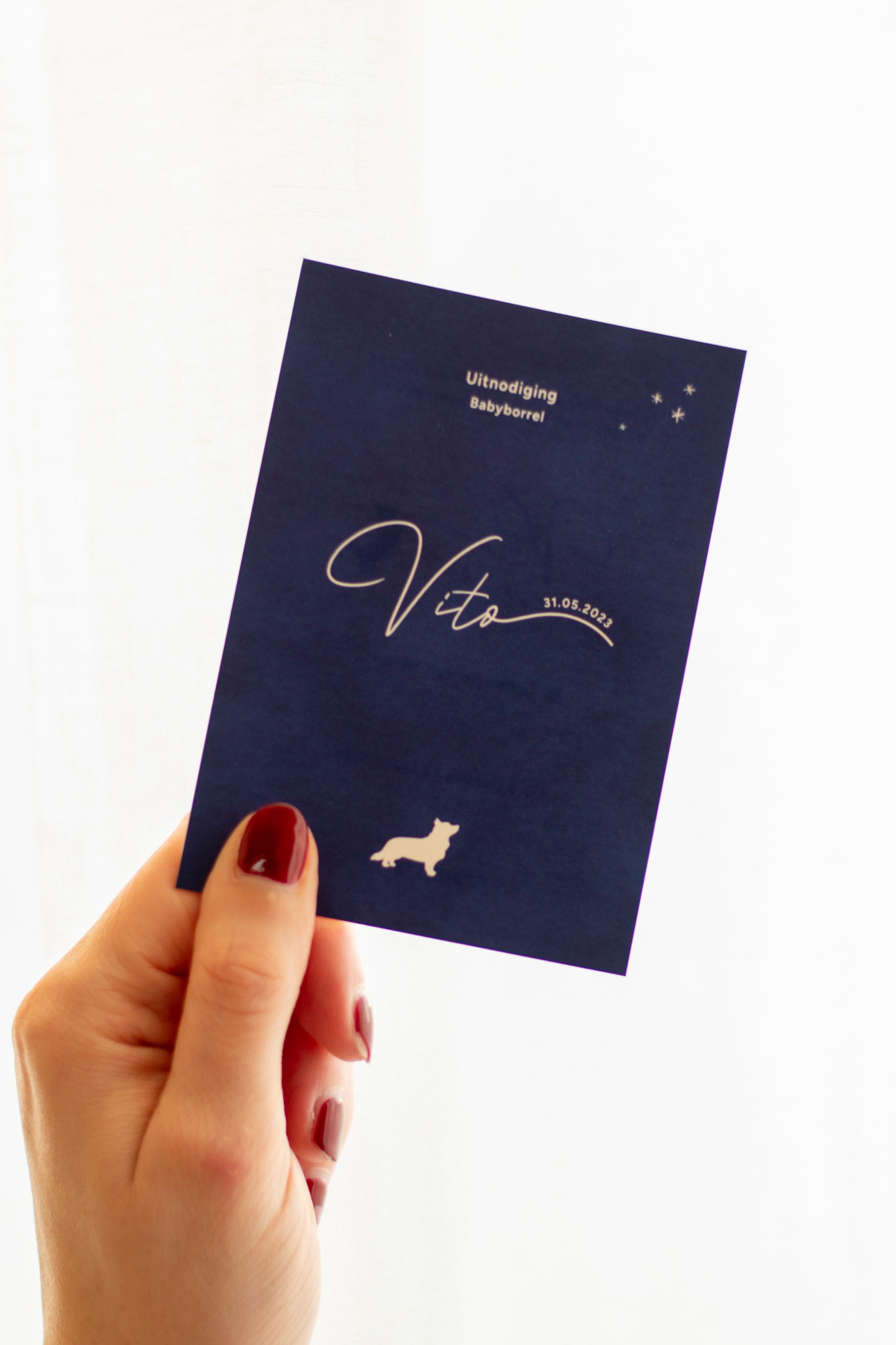 Uitnodiging babyborrel Vito