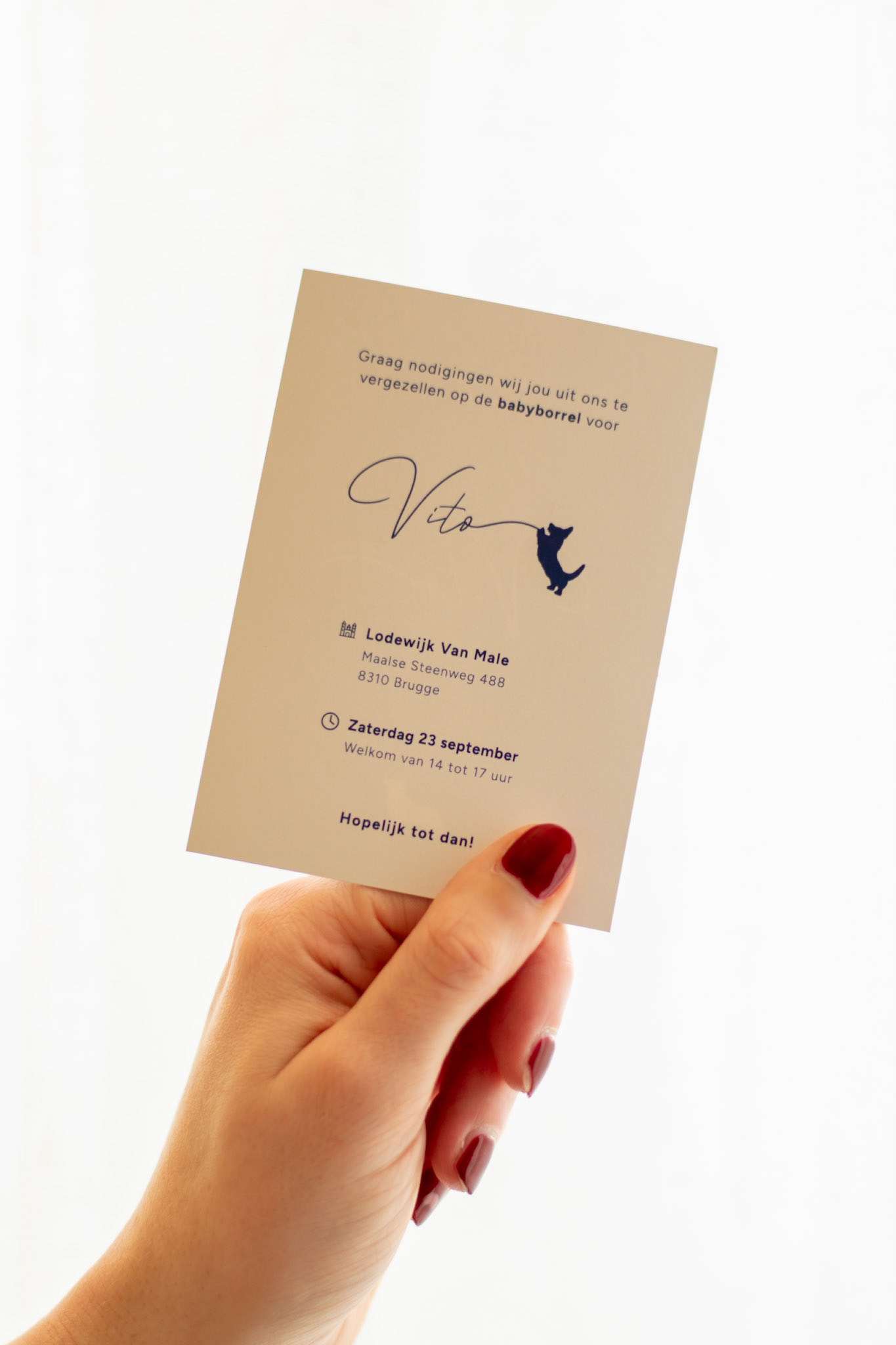 Uitnodiging babyborrel Vito