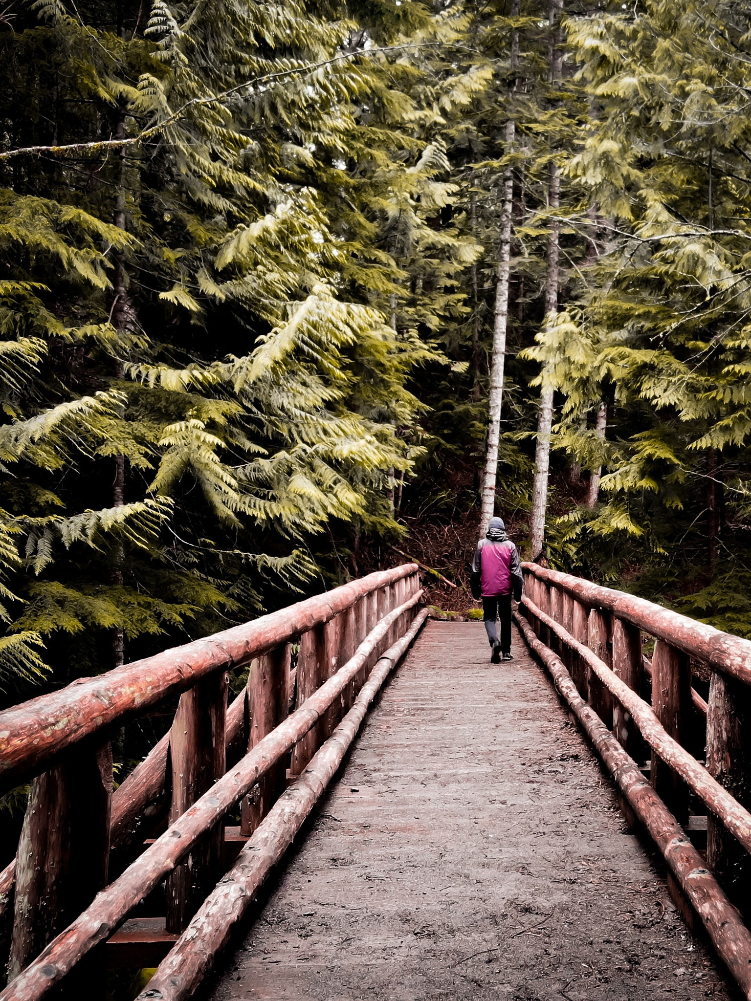 Seattle, WA – 2018