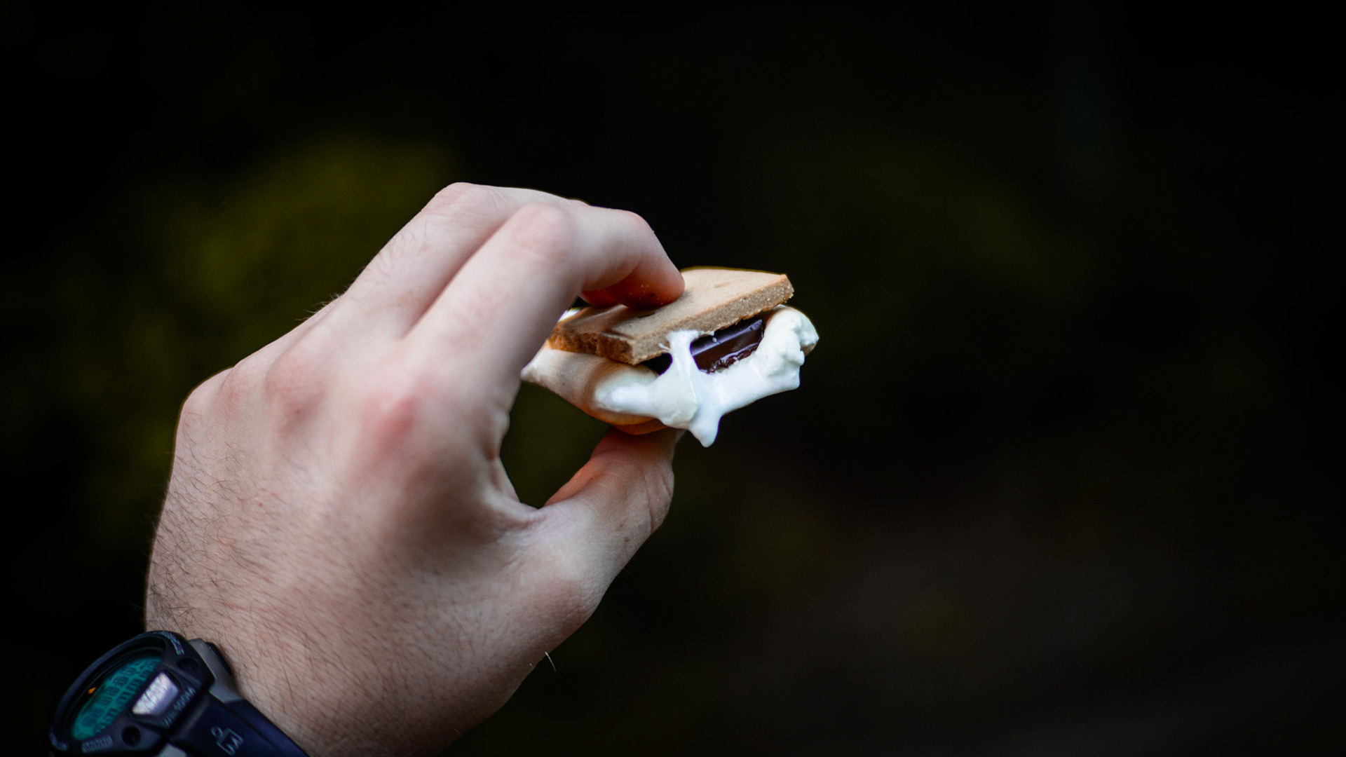 Great Smoky Mountains – Summer 2018