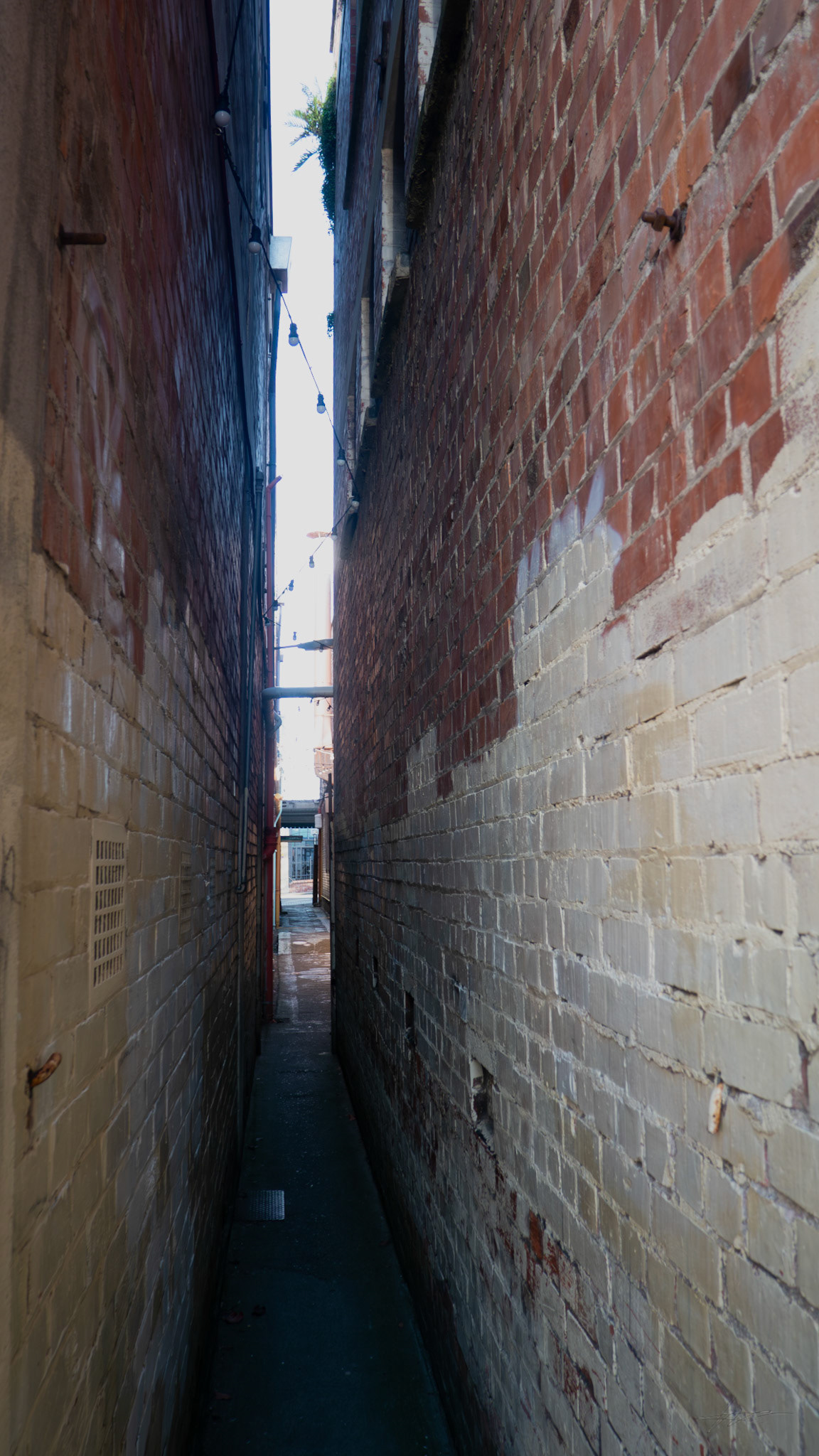 Narrow Bricks