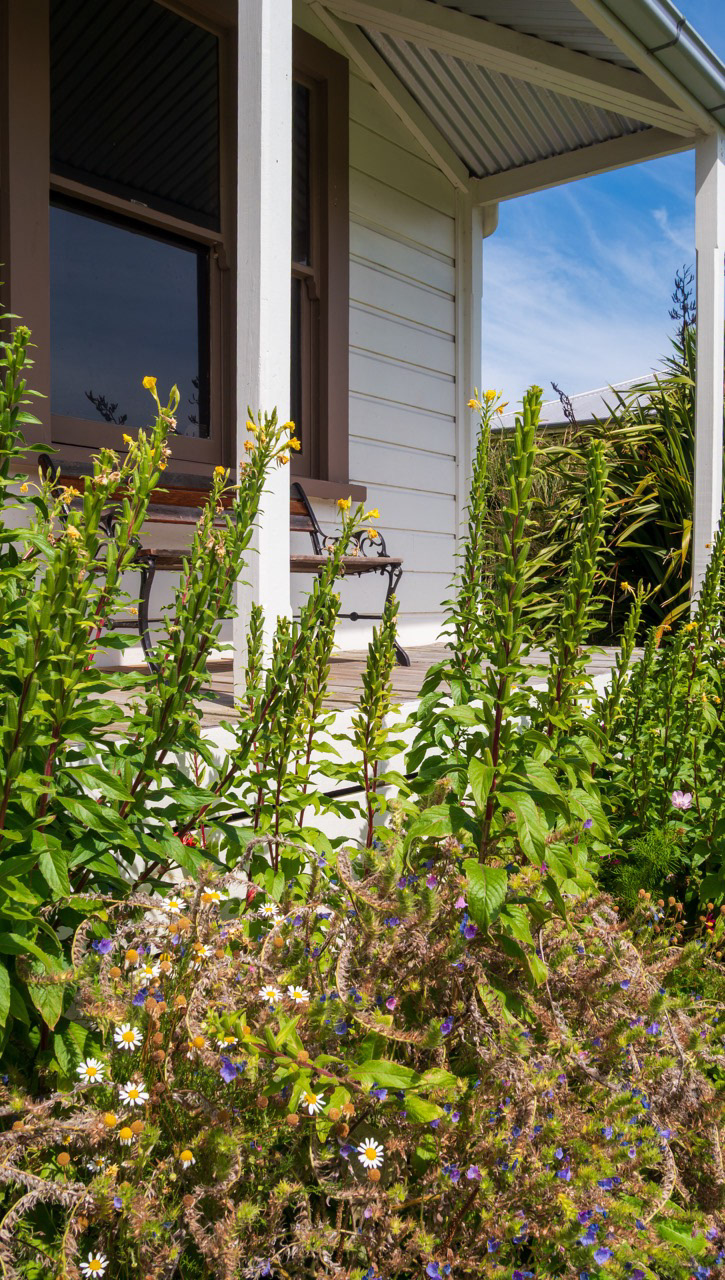 1840s Workers Cottage (garden)