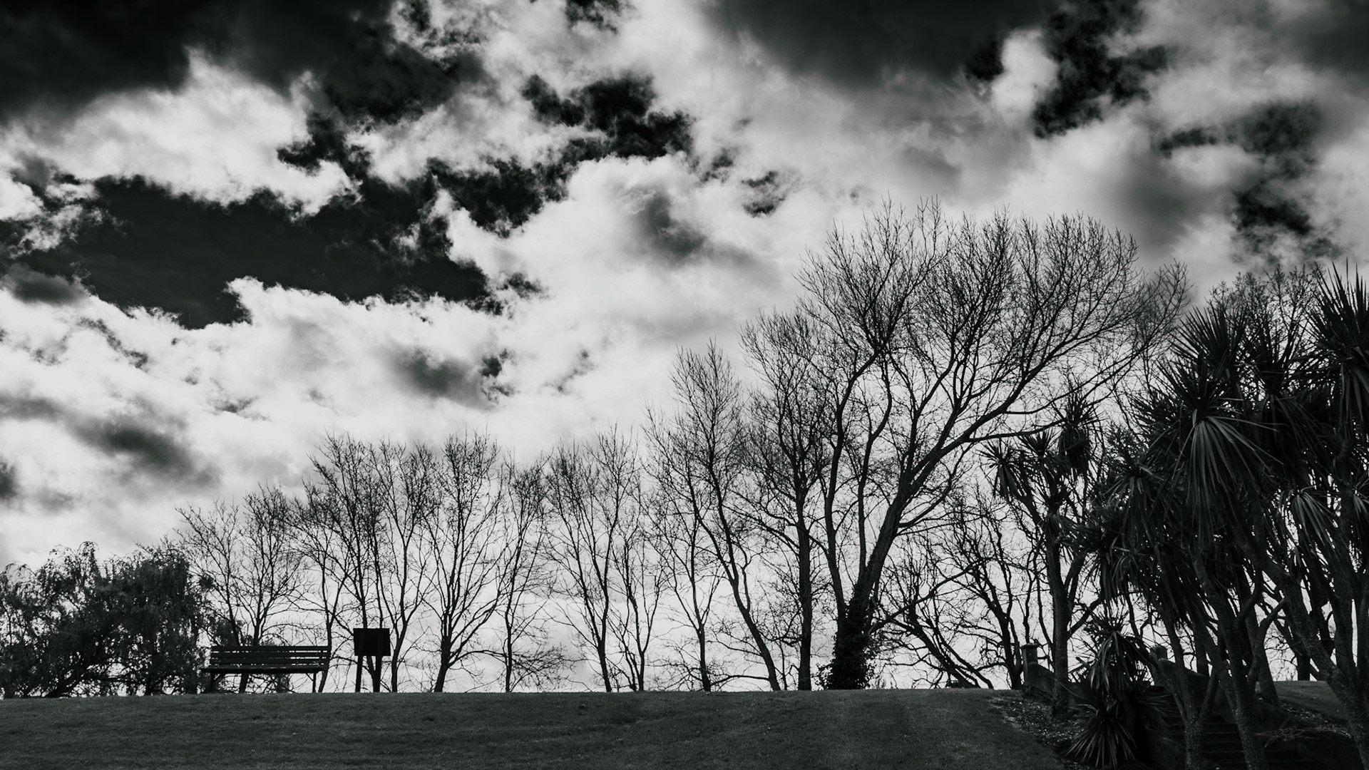 Bench on a hill 2