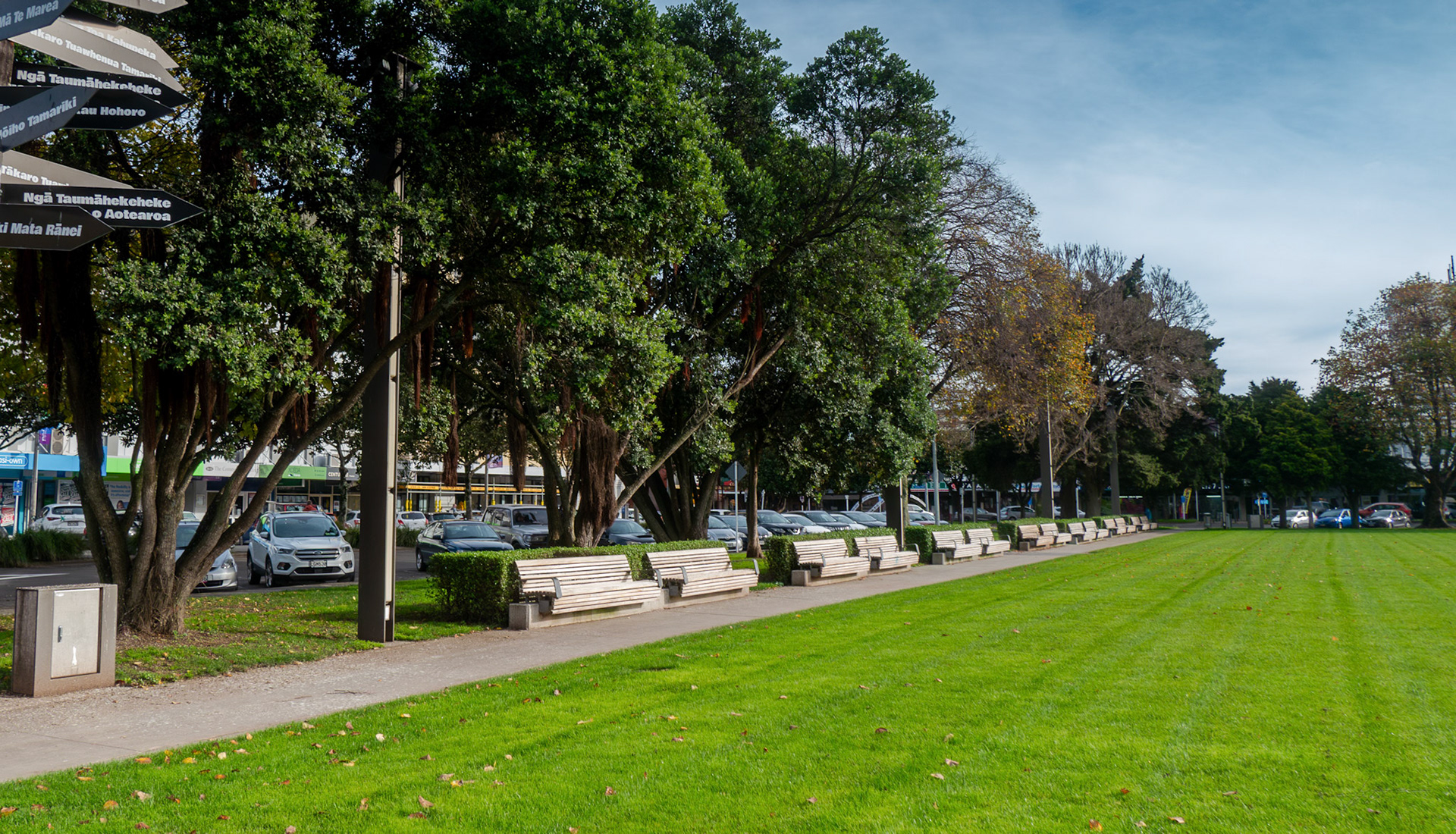 Park Benches