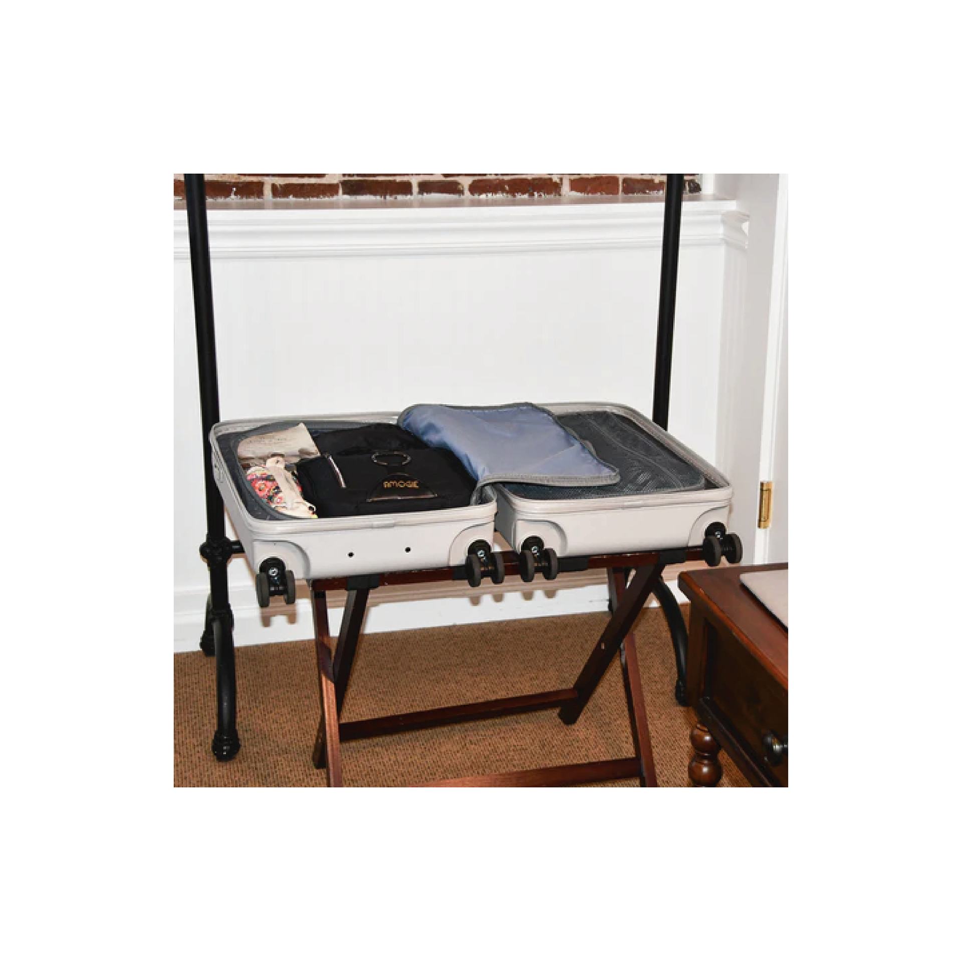 Amogie in the Suitcase