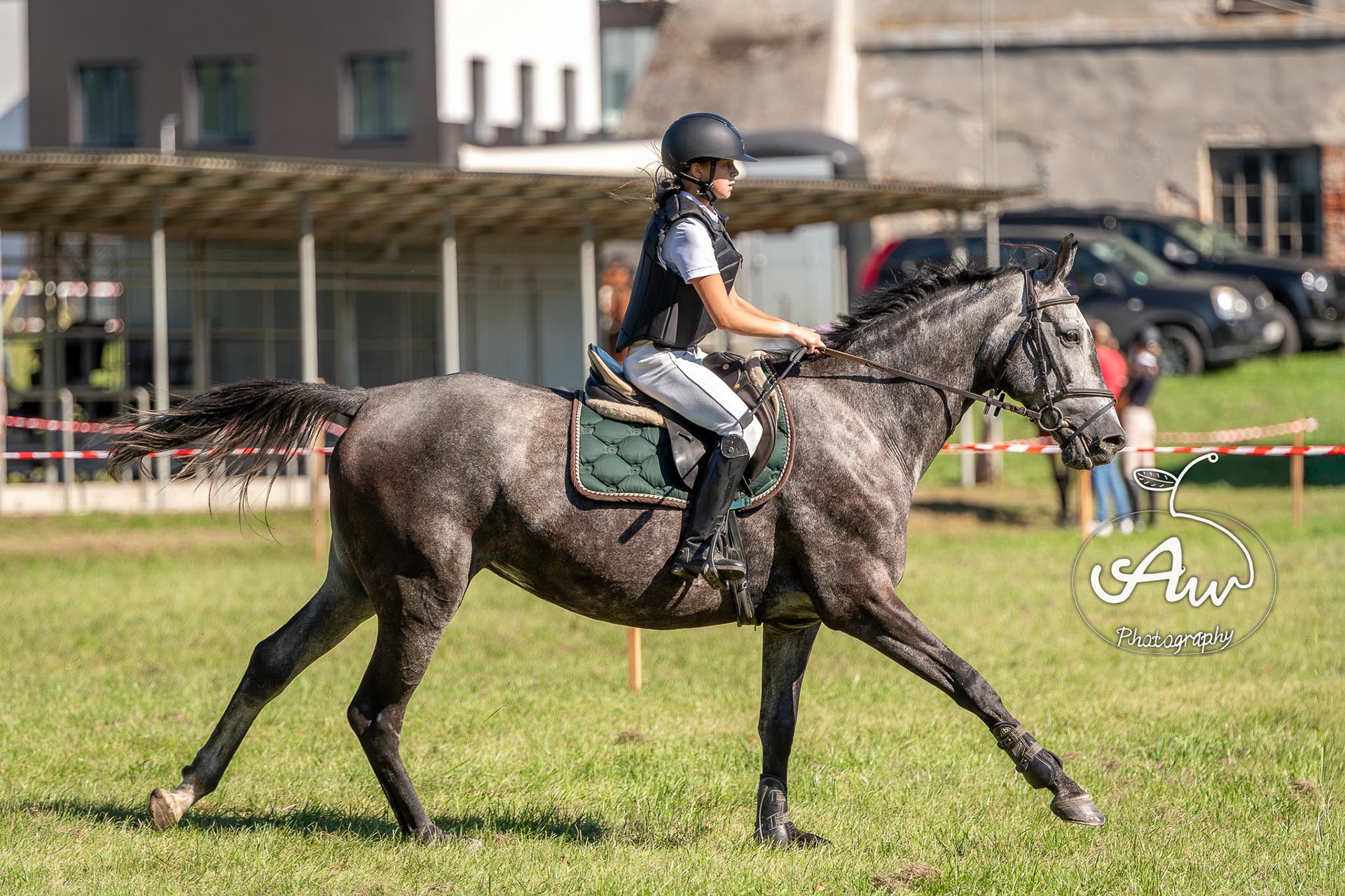 V Święto konia w Sitnie 2025