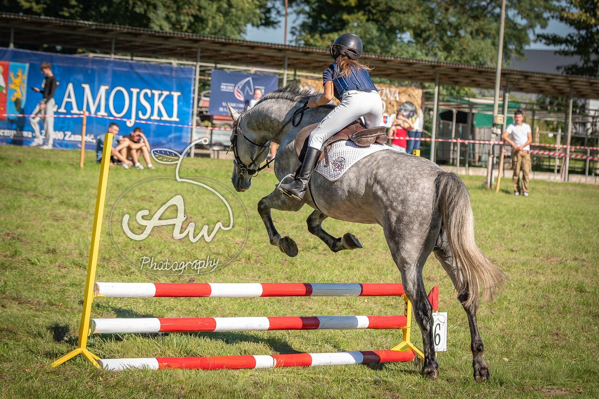 V Święto konia w Sitnie 2025