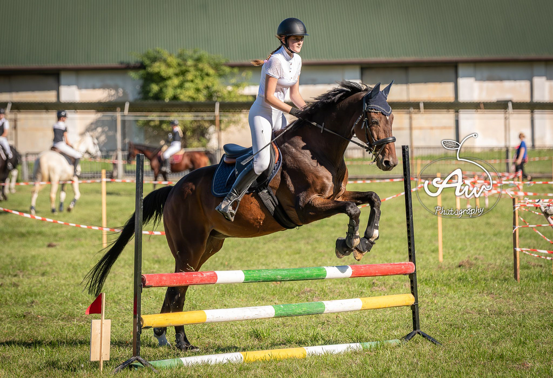 V Święto konia w Sitnie 2025