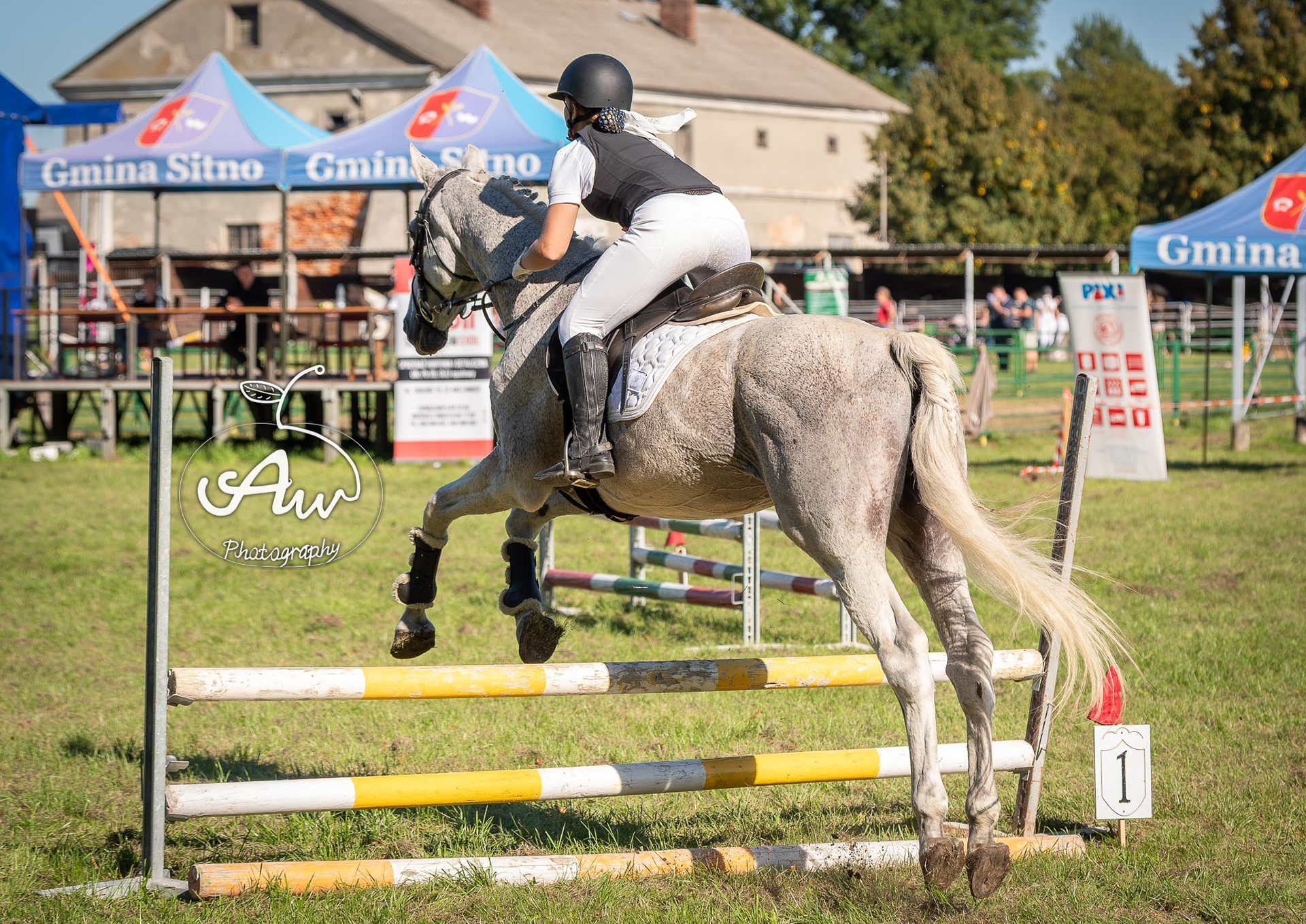 V Święto konia w Sitnie 2025