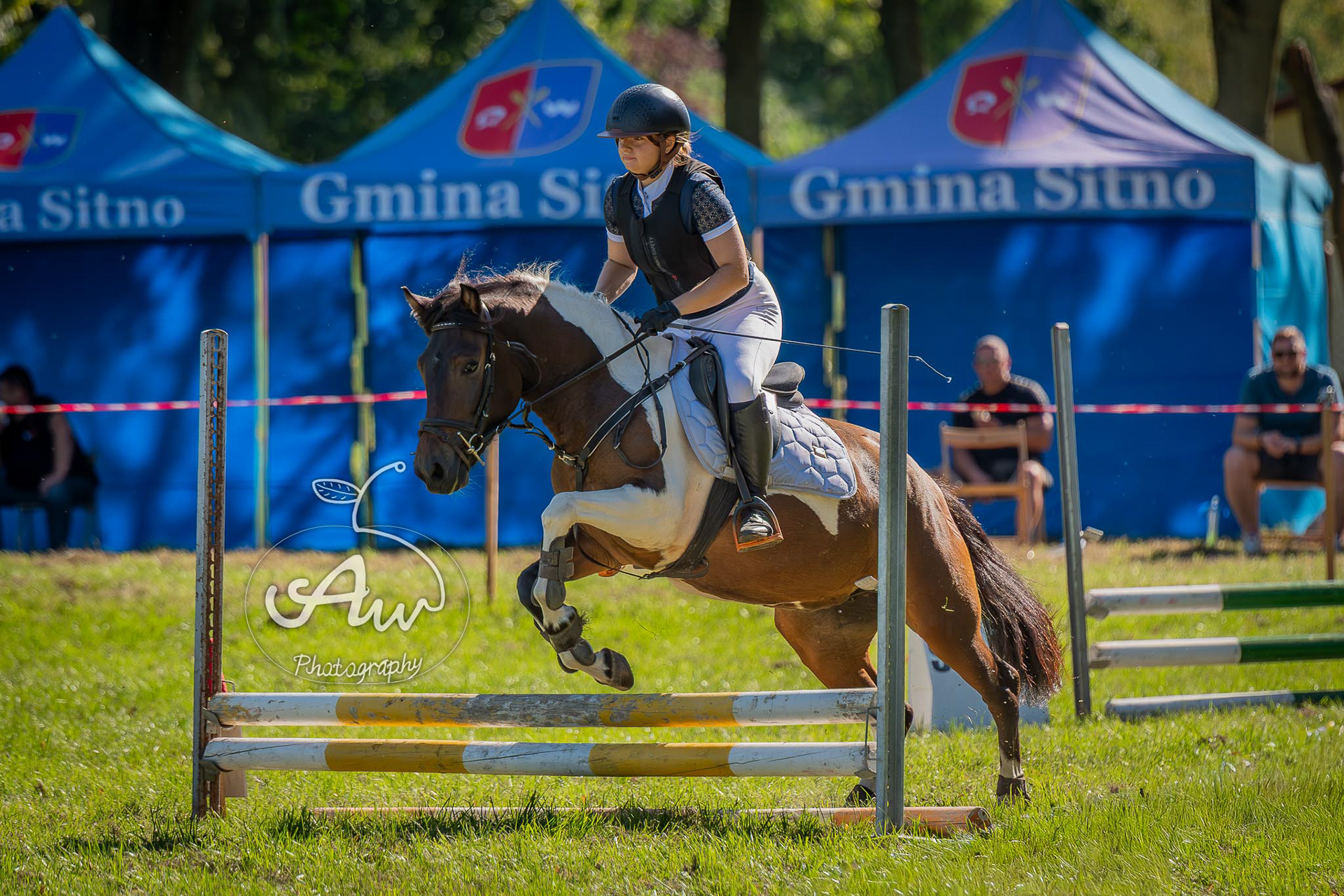 V Święto konia w Sitnie 2025