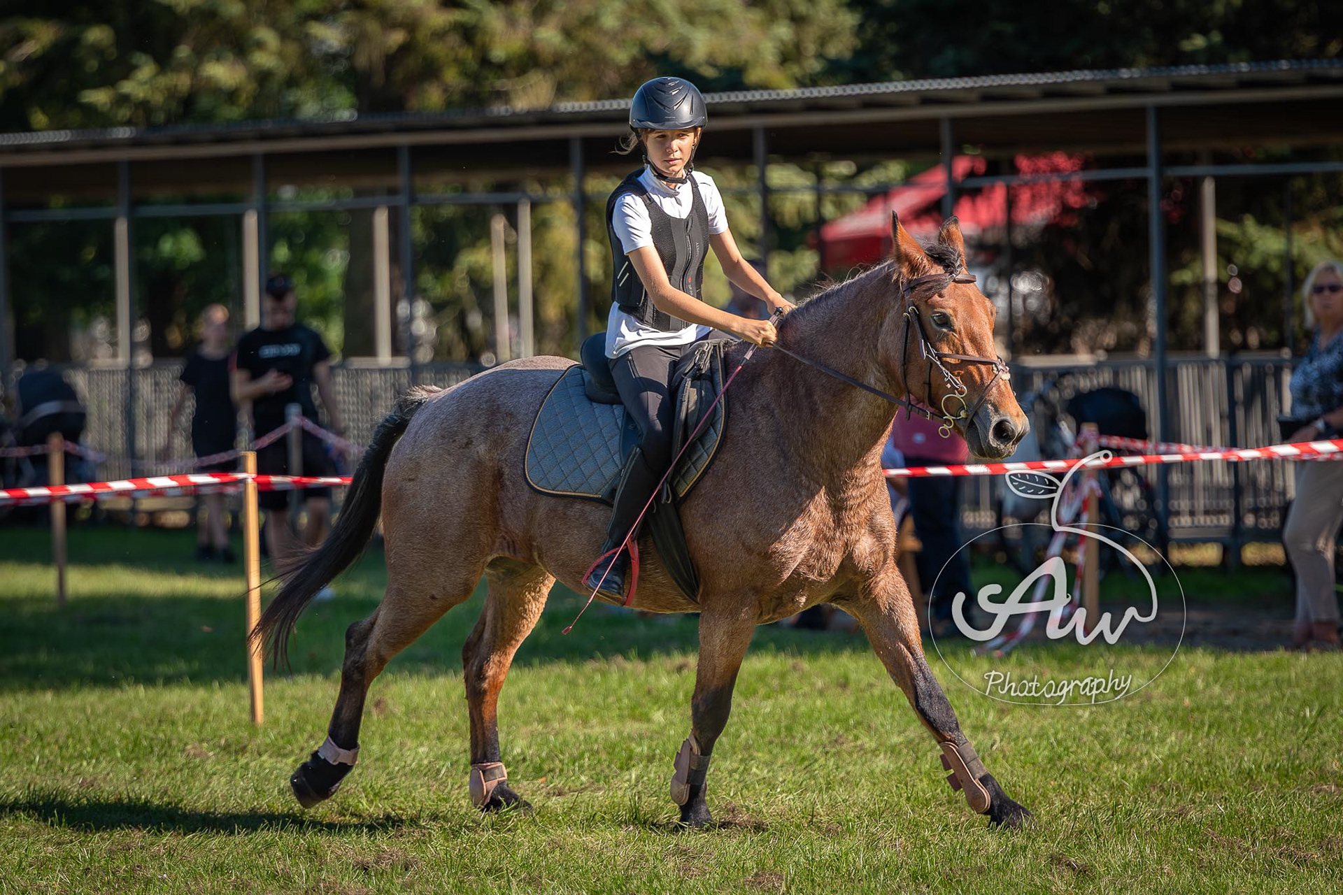 V Święto konia w Sitnie 2025