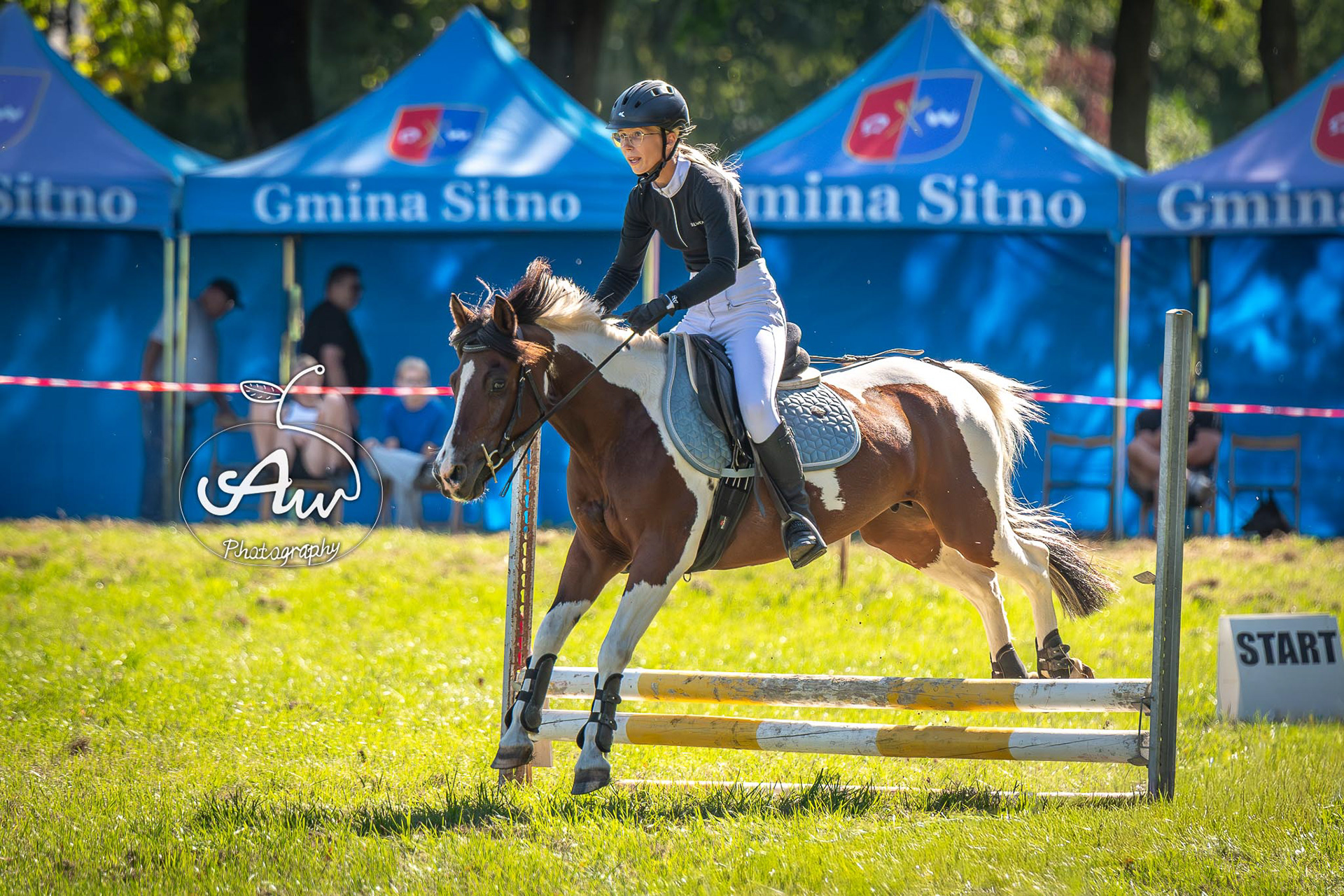 V Święto konia w Sitnie 2025