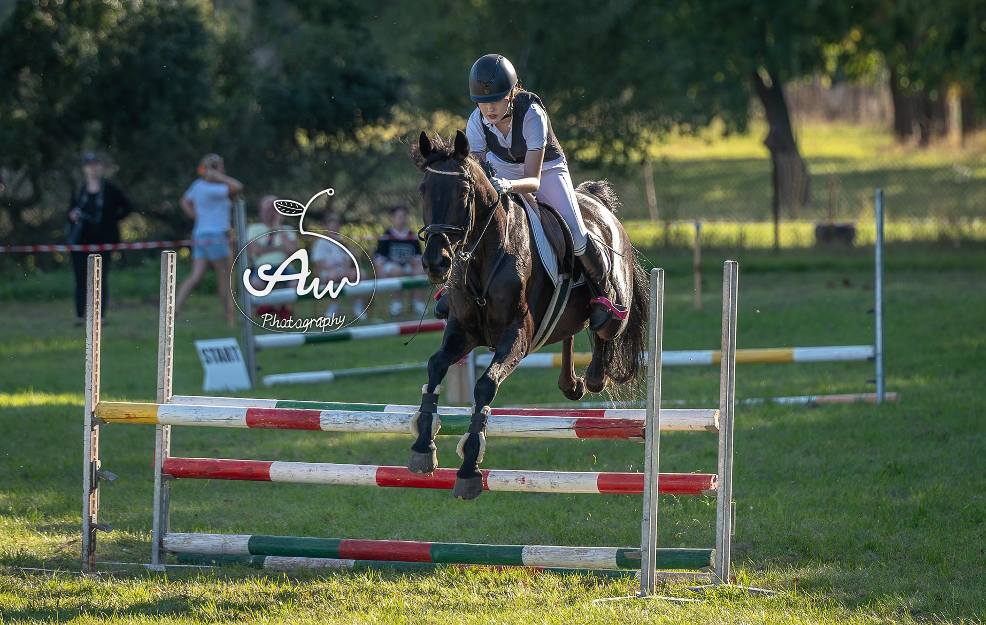 V Święto konia w Sitnie 2025