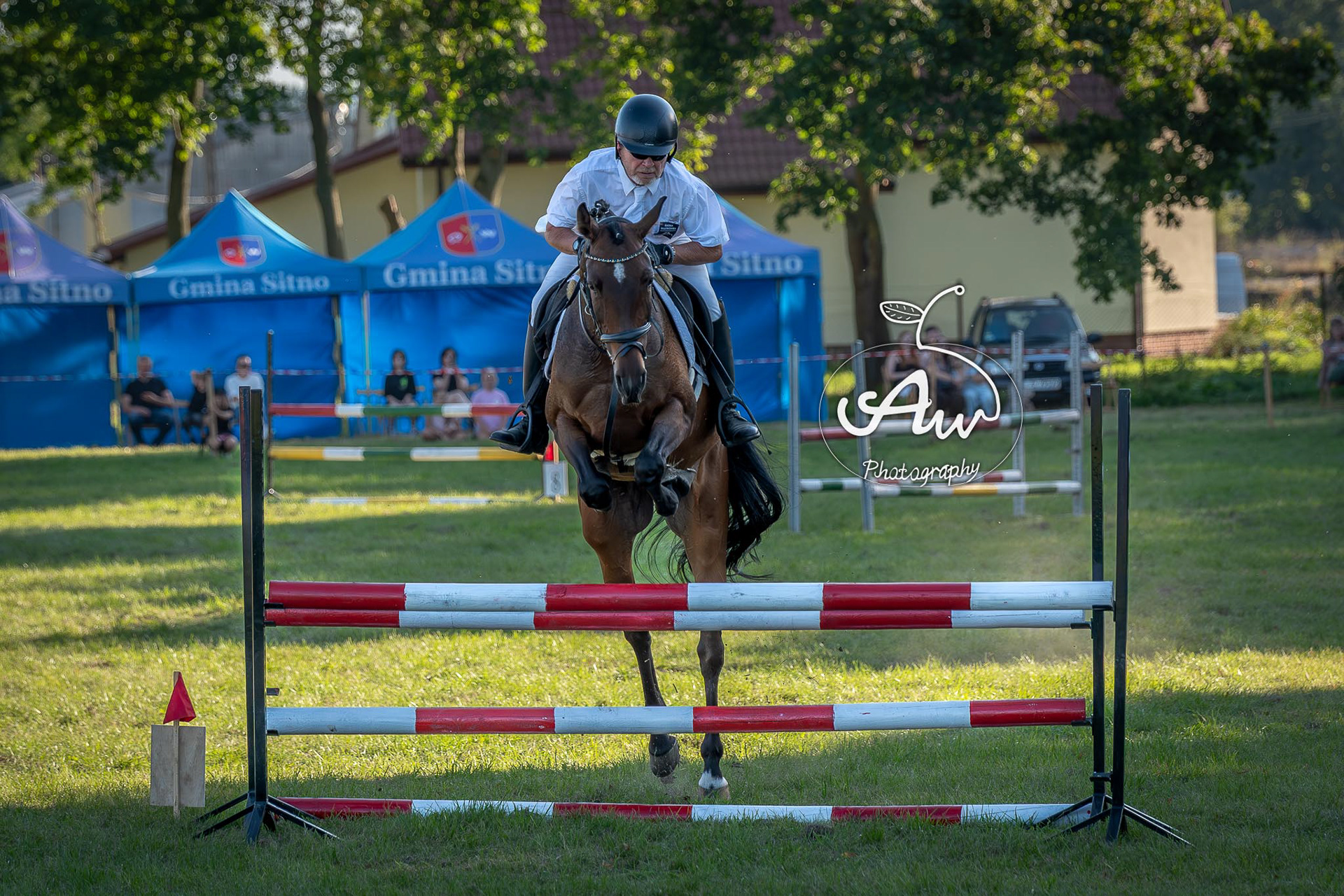 V Święto konia w Sitnie 2025