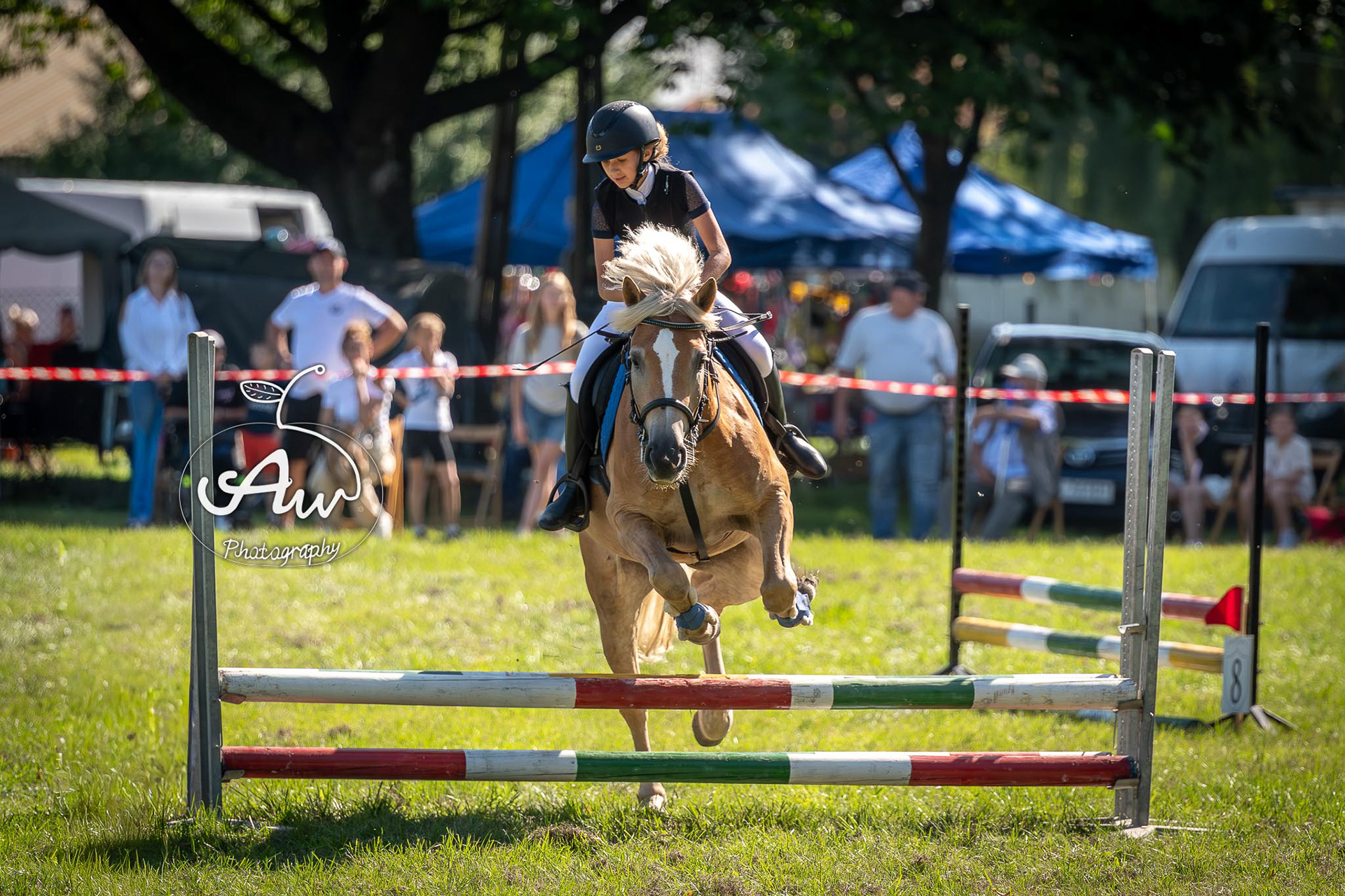 V Święto konia w Sitnie 2025