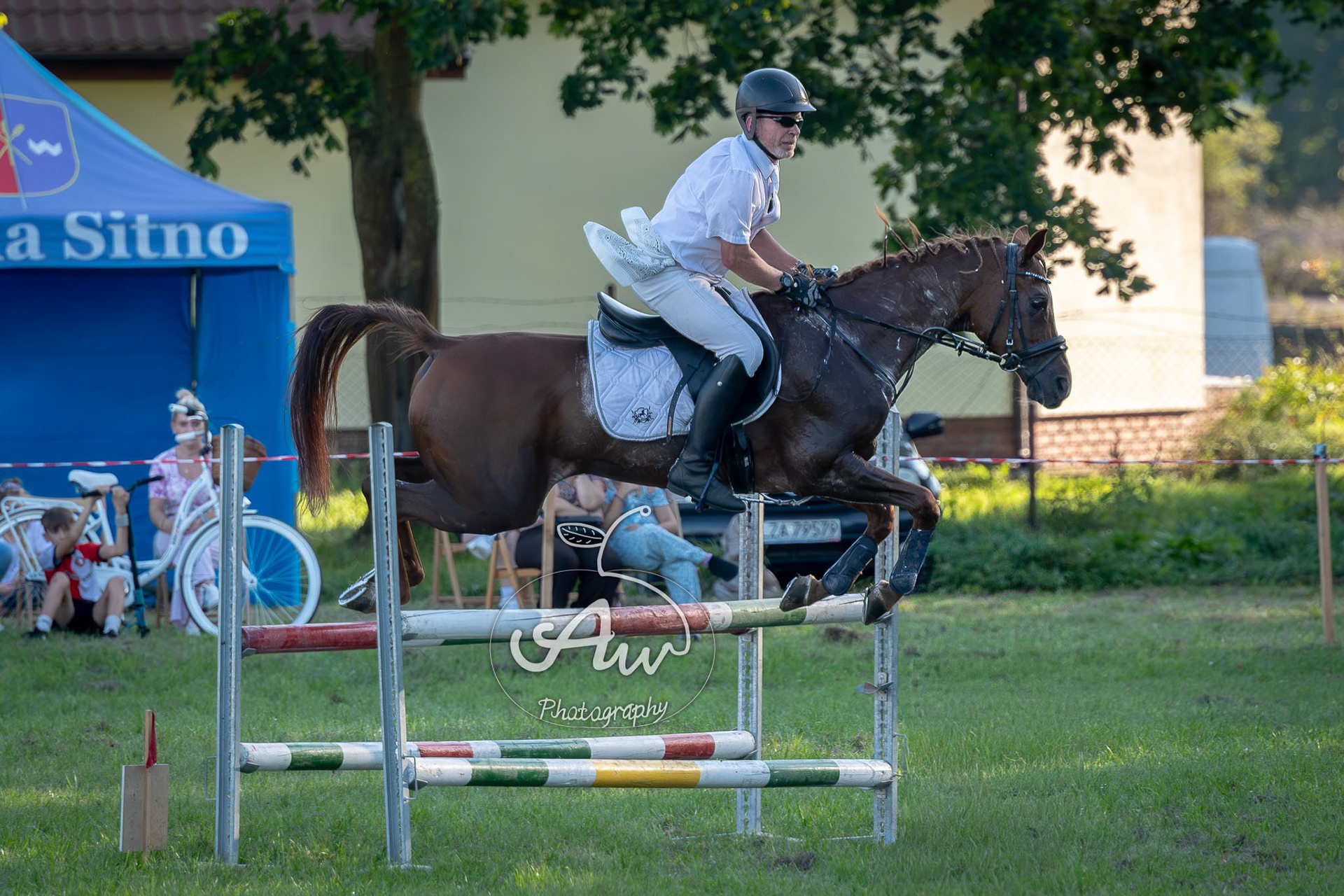 V Święto konia w Sitnie 2025