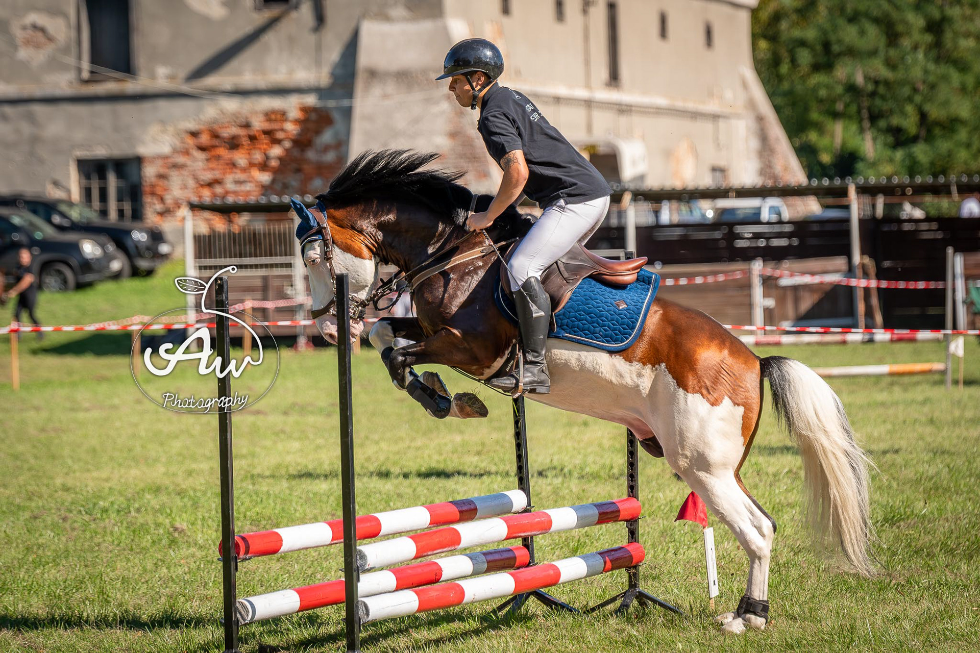 V Święto konia w Sitnie 2025