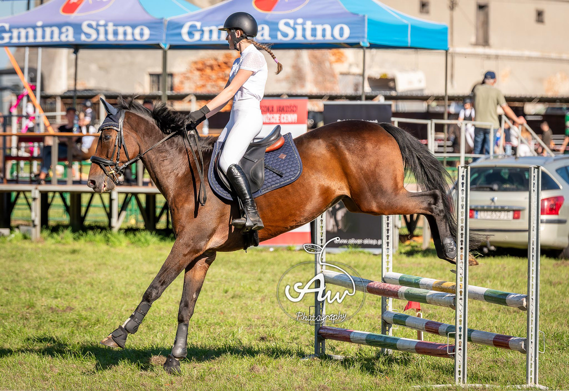 V Święto konia w Sitnie 2025