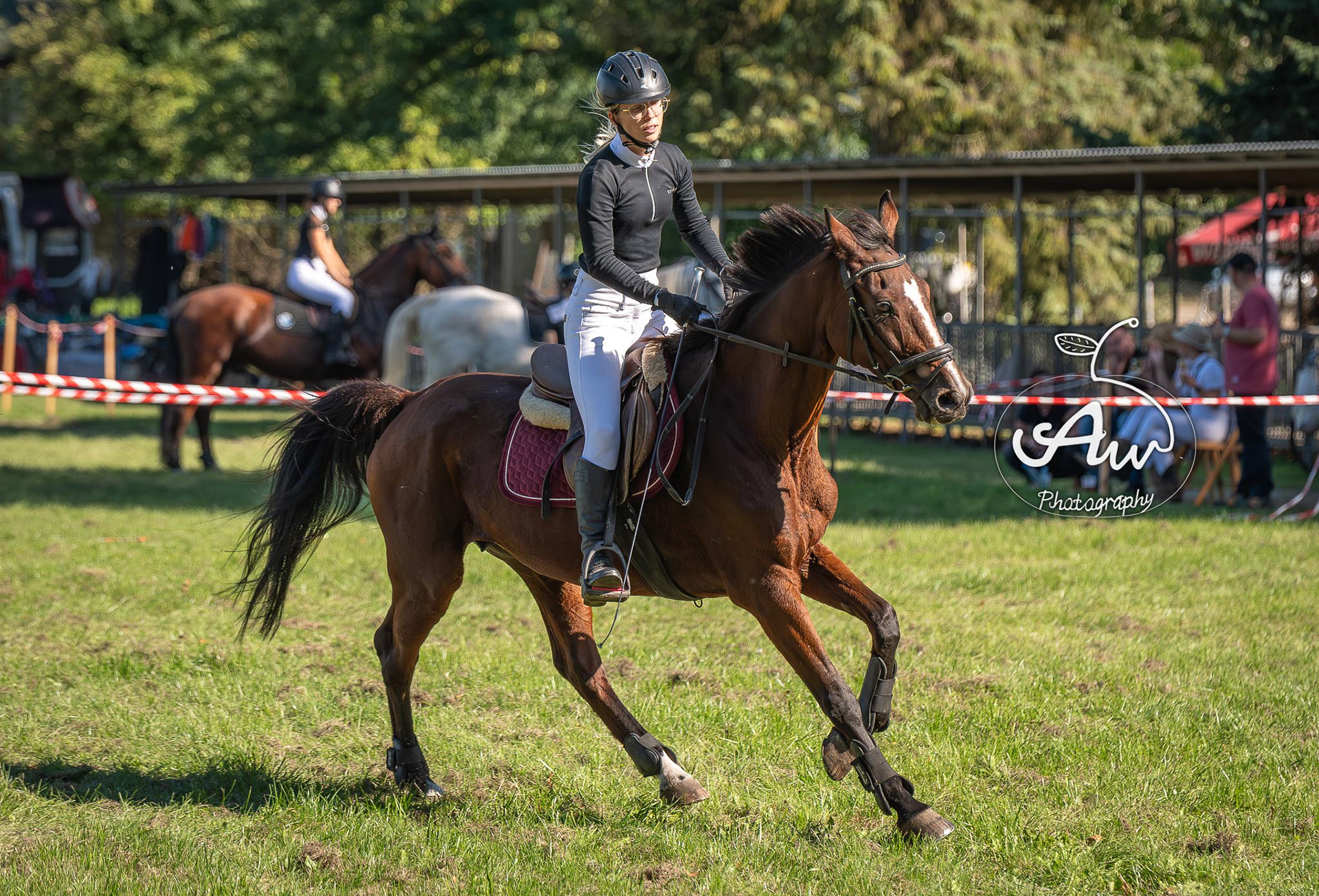 V Święto konia w Sitnie 2025
