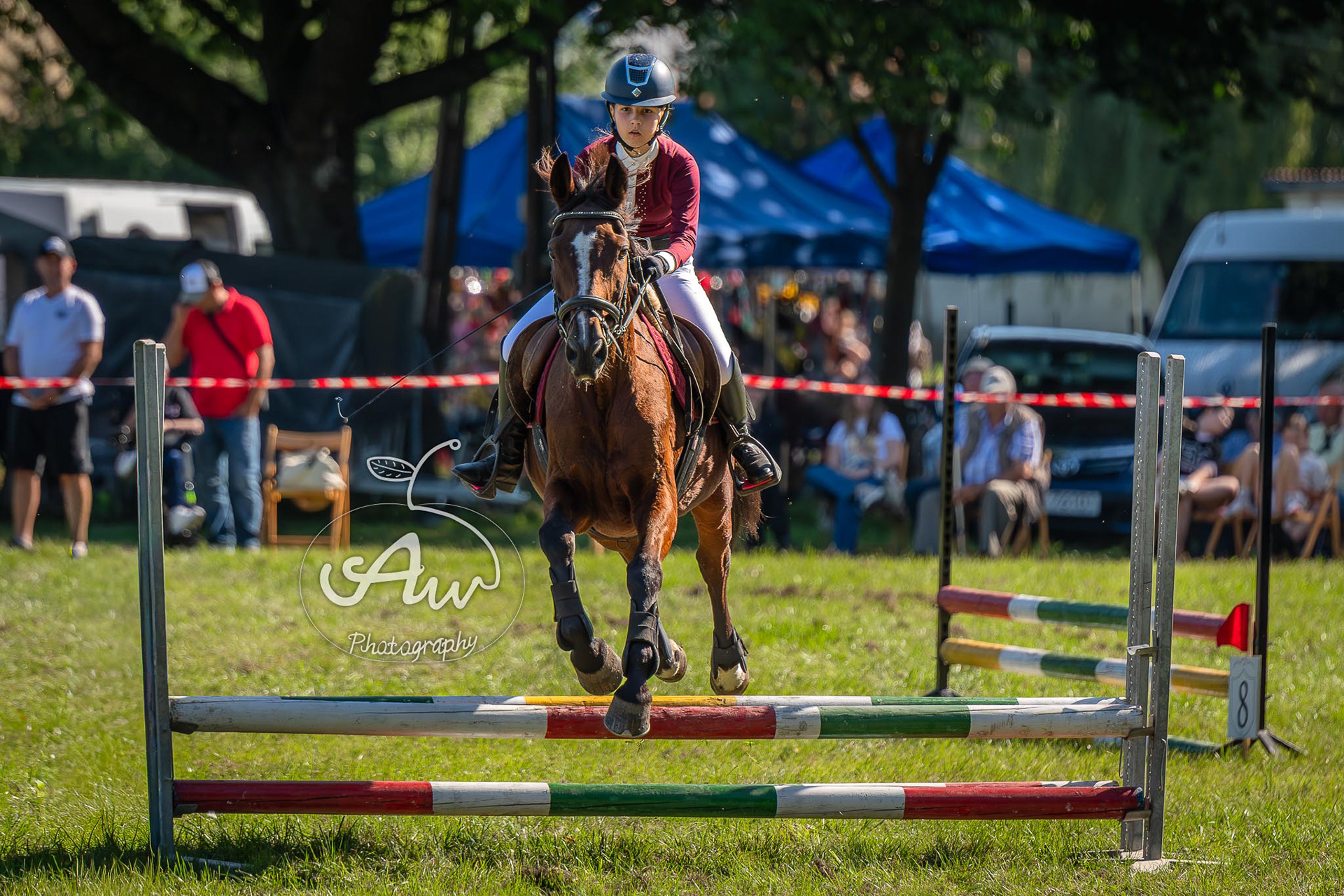 V Święto konia w Sitnie 2025