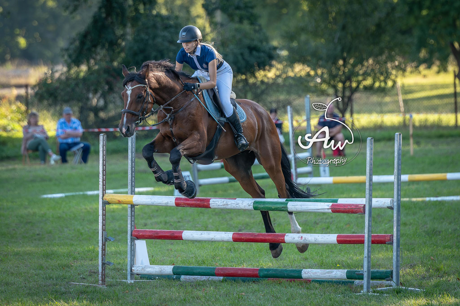 V Święto konia w Sitnie 2025