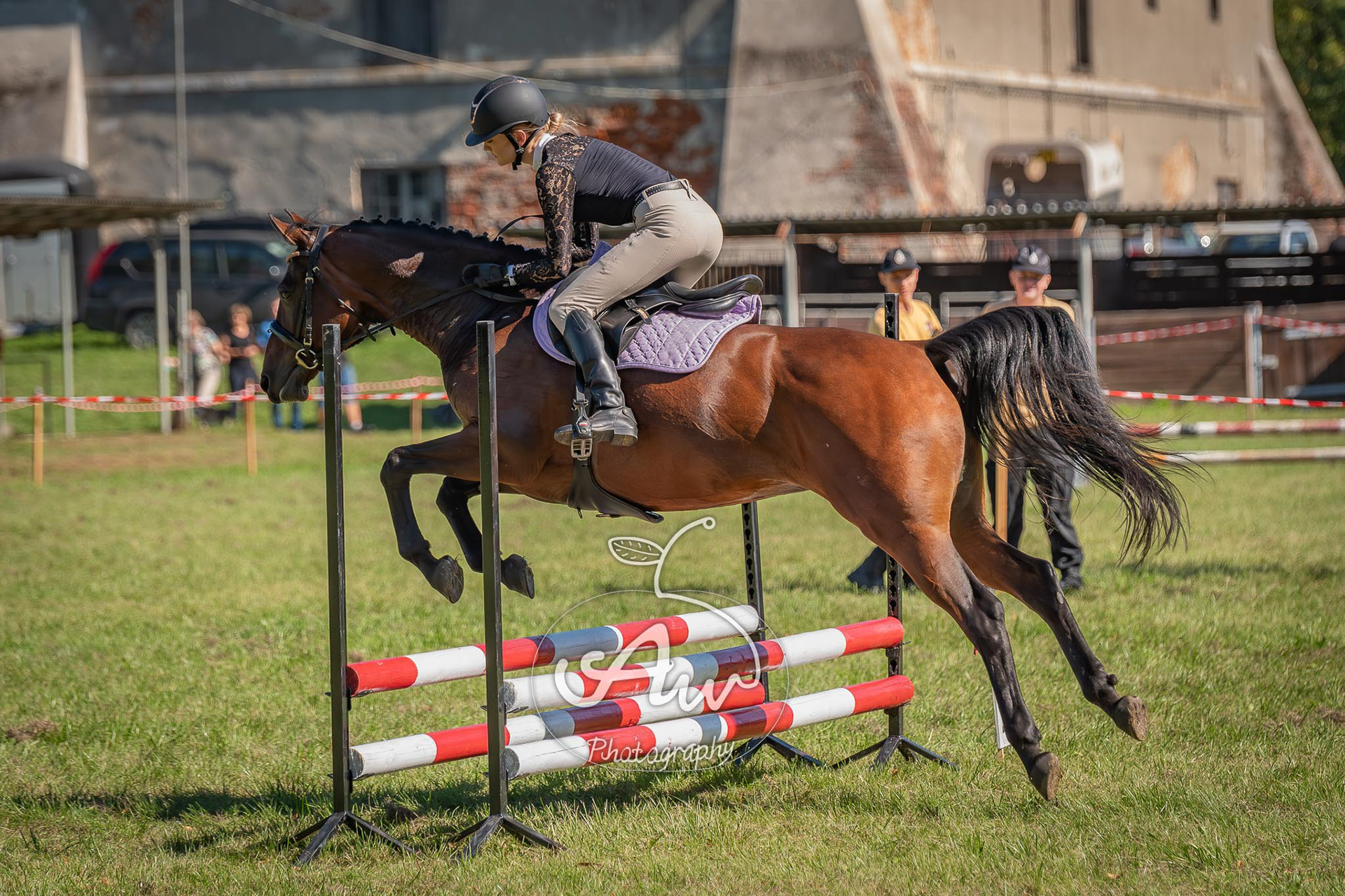 V Święto konia w Sitnie 2025