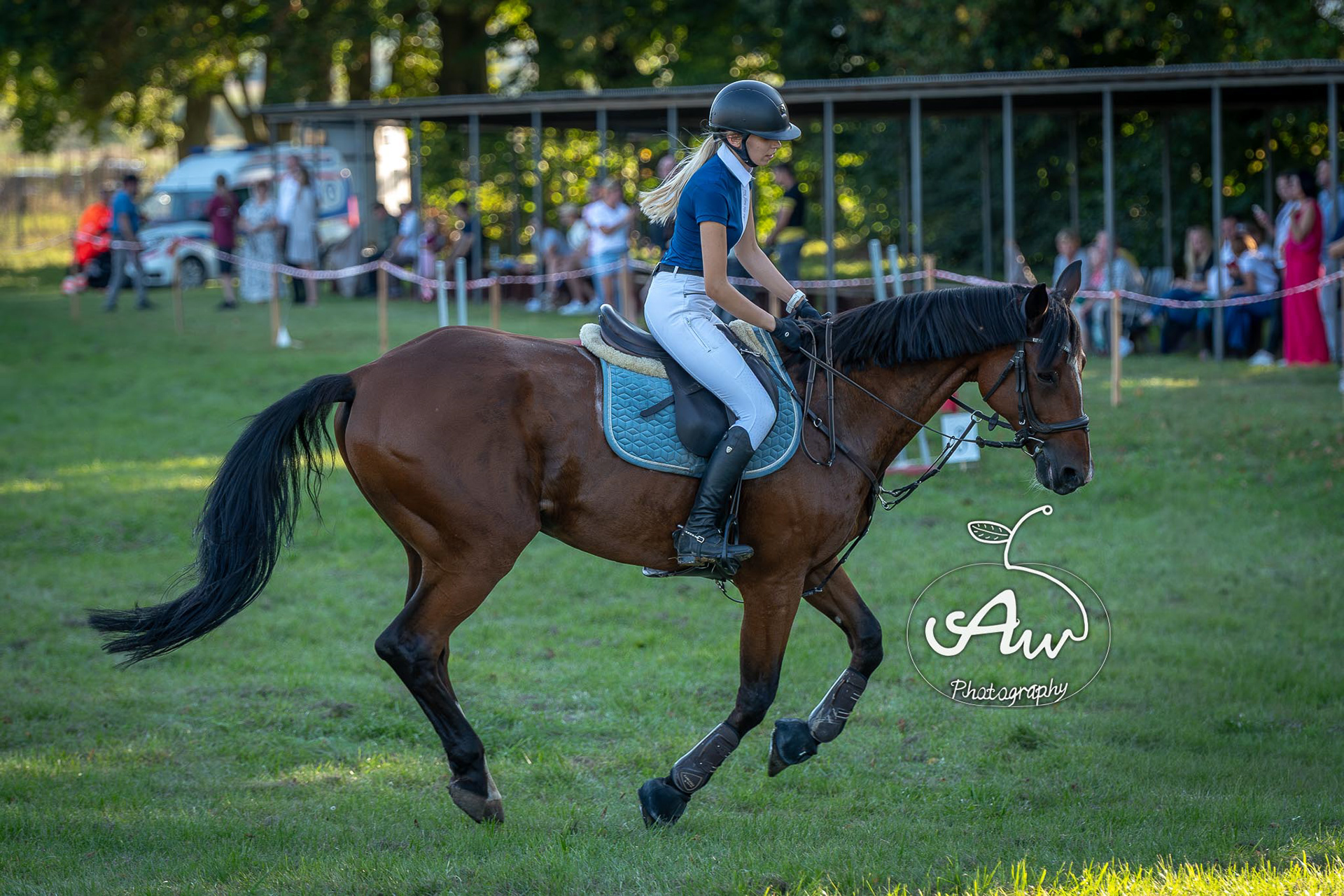 V Święto konia w Sitnie 2025