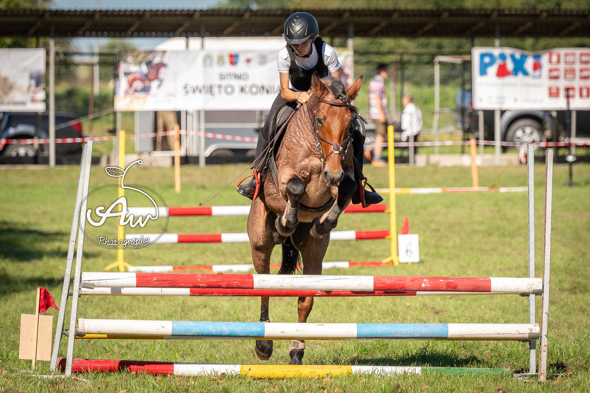 V Święto konia w Sitnie 2025