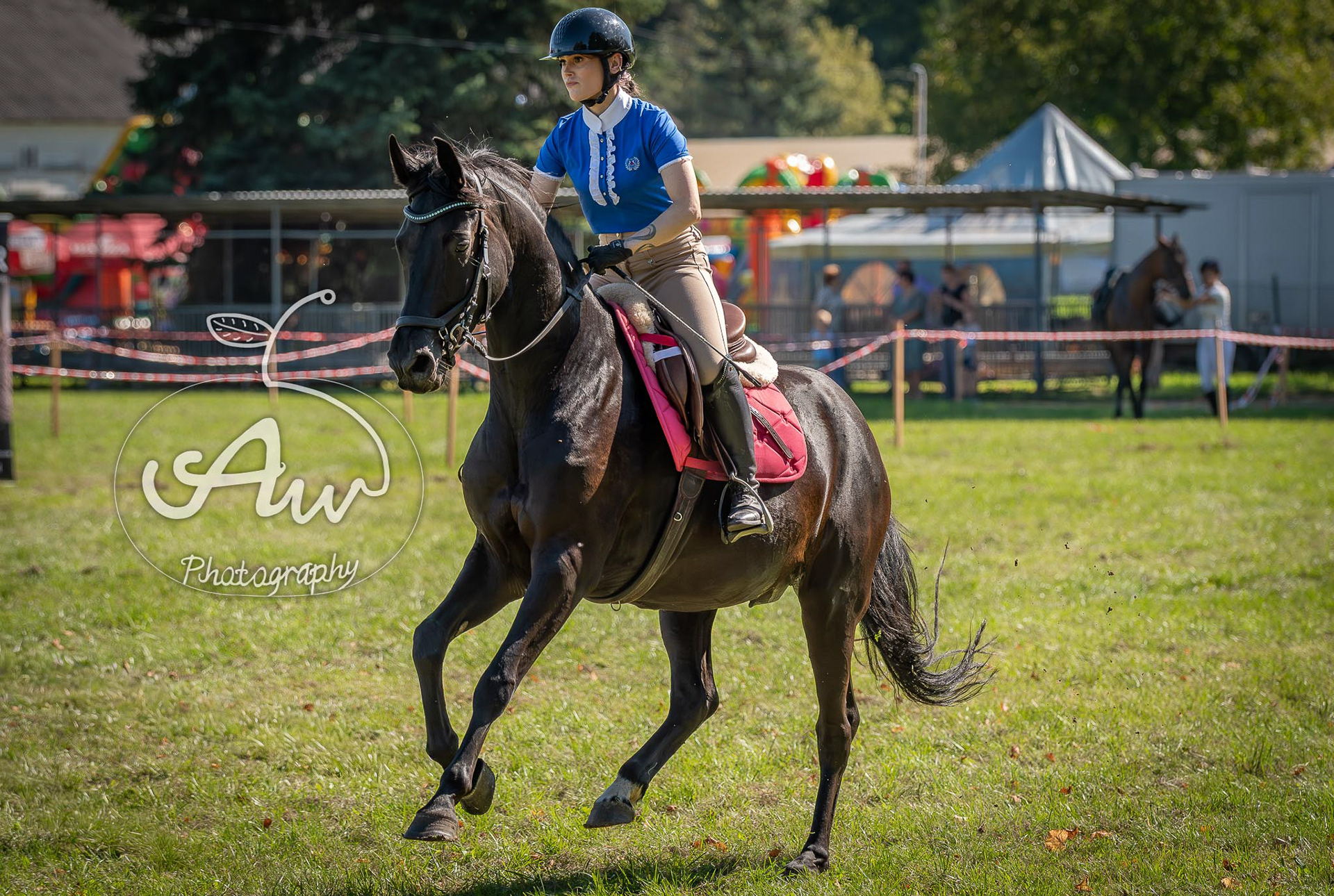 V Święto konia w Sitnie 2025