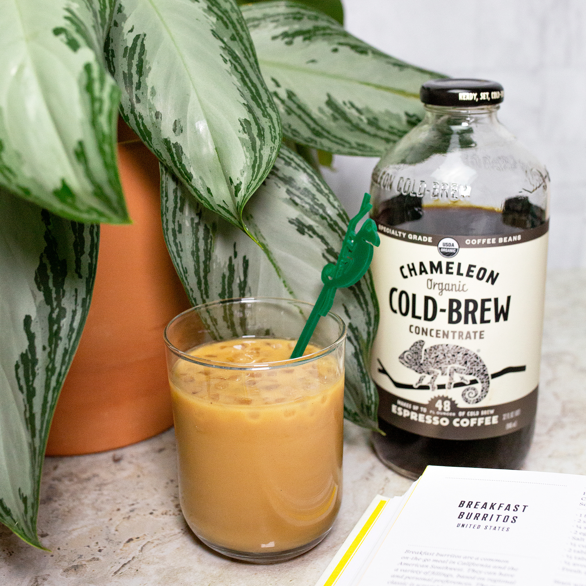 Chameleon Cold-Brew
