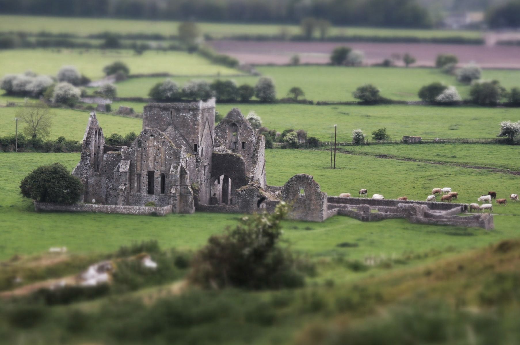 Miniature castle in Ireland?