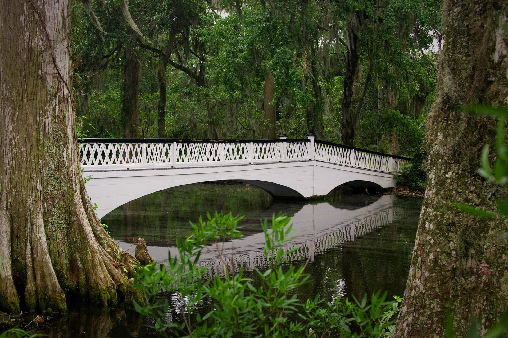 Magnolia Plantation Bridge