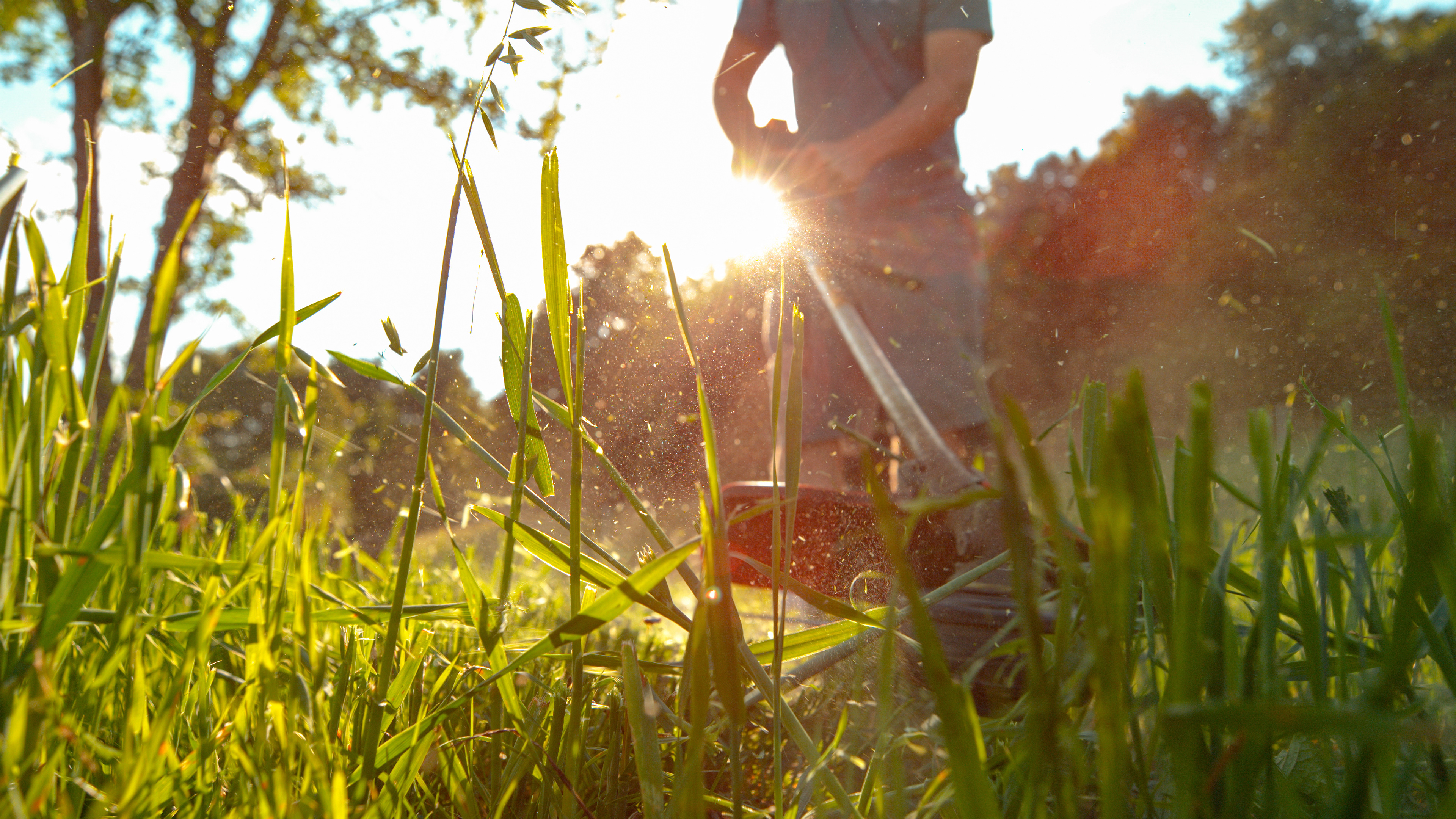 Weed Eating