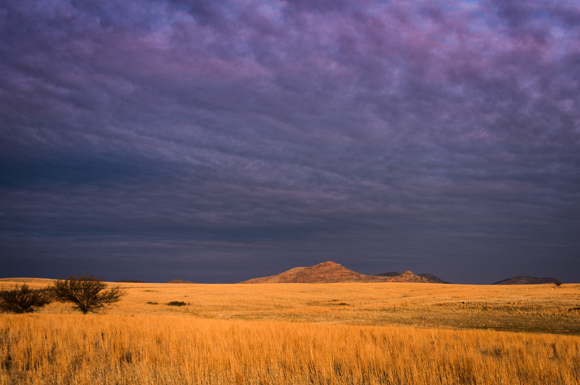Western Storm Approaching