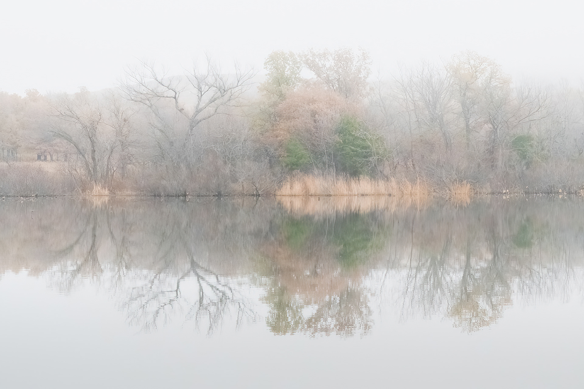 Foggy Morning at Quanah Parker Lake