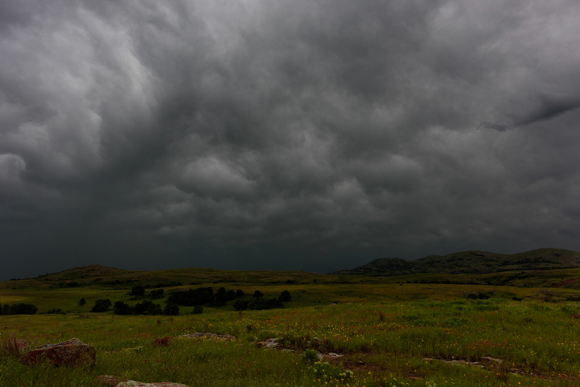 Spring Storm and Wildflowers