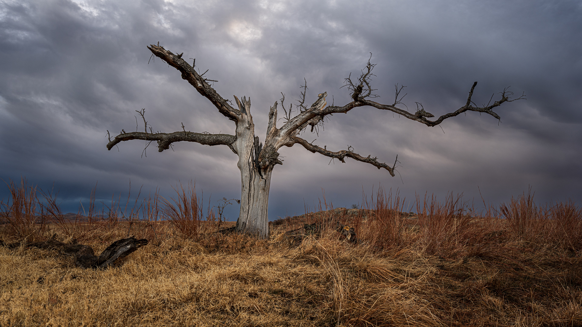 Standing Against the Storm