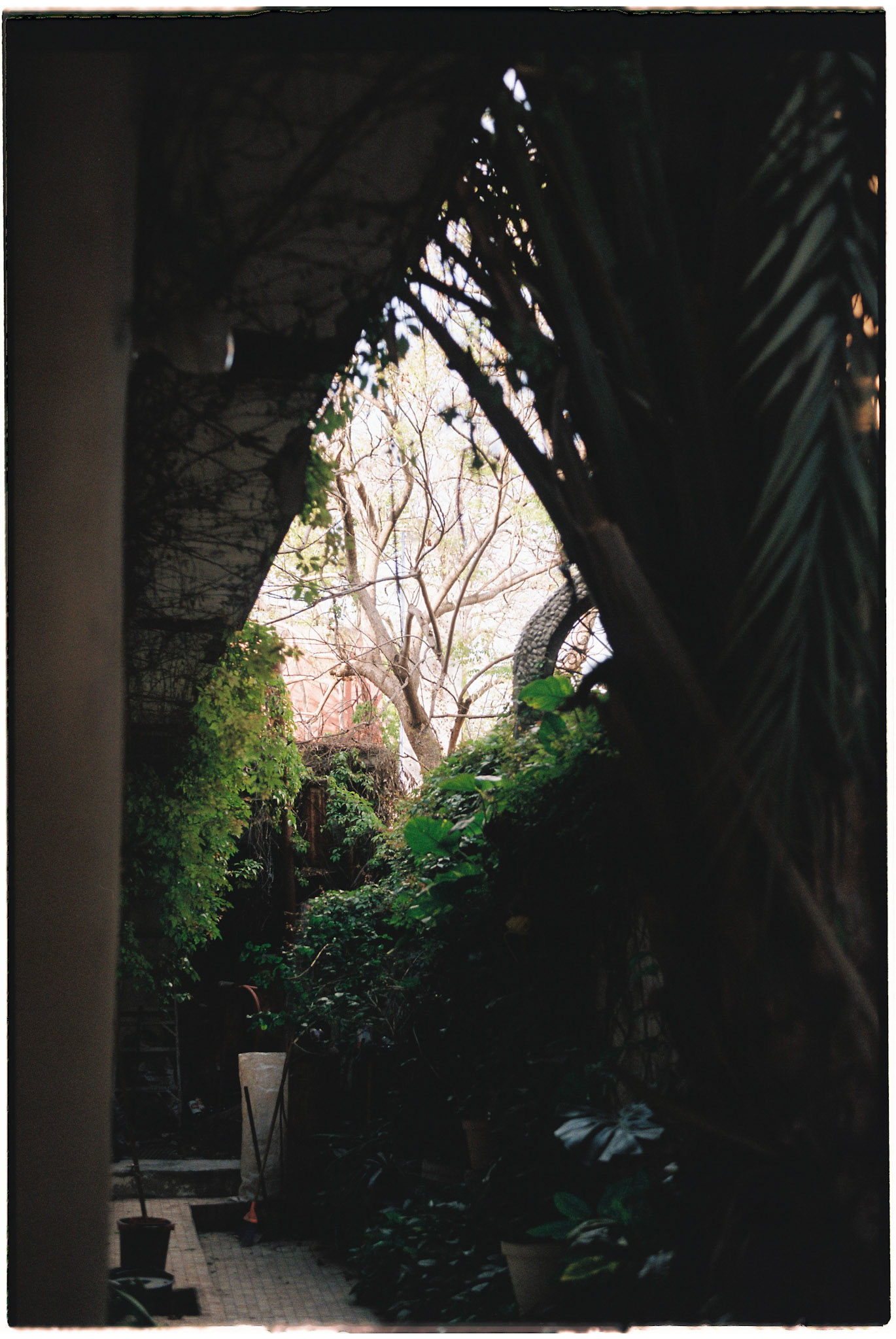 De márgenes escultóricos