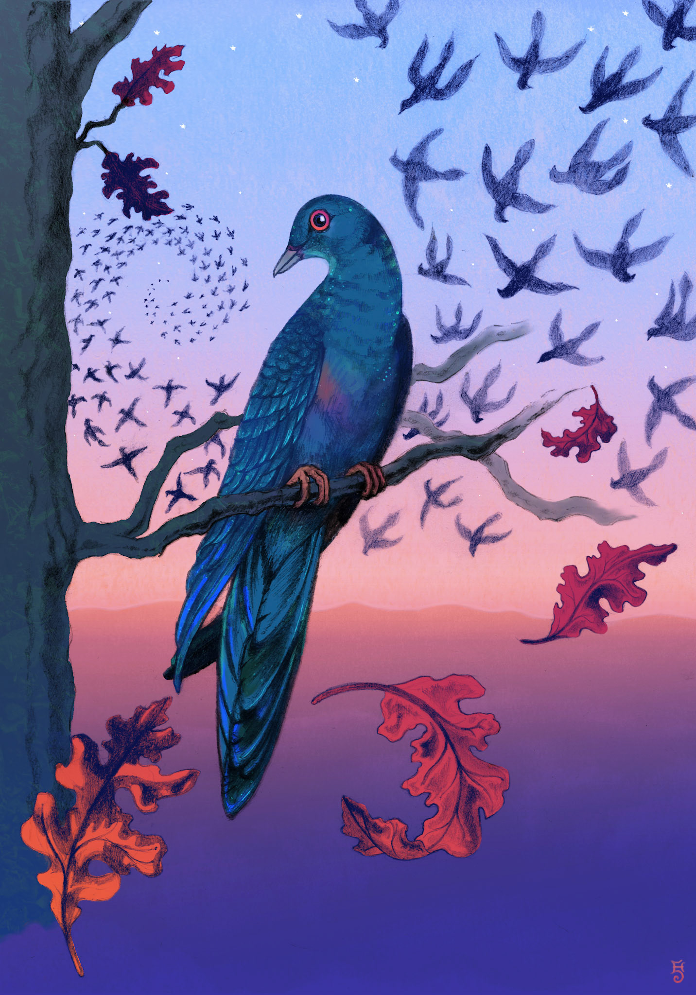 The passenger pigeon was massacred by humans in the 19th century; coupled with deforestation, this led to its extinction in the early 1900's. A flock of passenger pigeons was documented in 1866 as being a mile in width and 300 miles in length — it took about 14 hours to pass and darkened the sky. The largest nesting recorded was 135 million adult birds; the largest flight was estimated to be 2 billion birds. This beautiful pigeon loved to eat acorns, beechnuts, and chestnuts. A keystone species, its vast quantities of droppings and limb-breaking nesting habits enriched the soil and helped shape the ecology of North American forests.